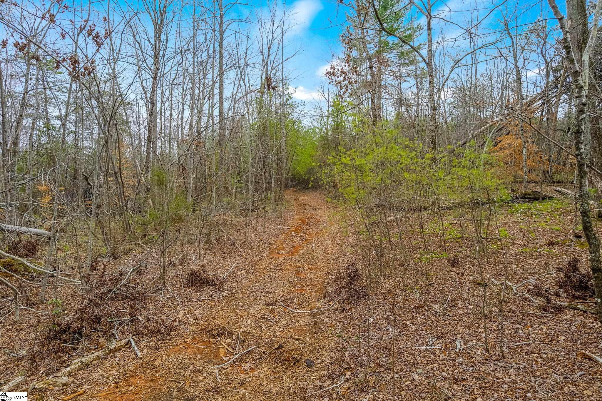 0000028a Tubbs Mountain Road Travelers Rest, SC 29690