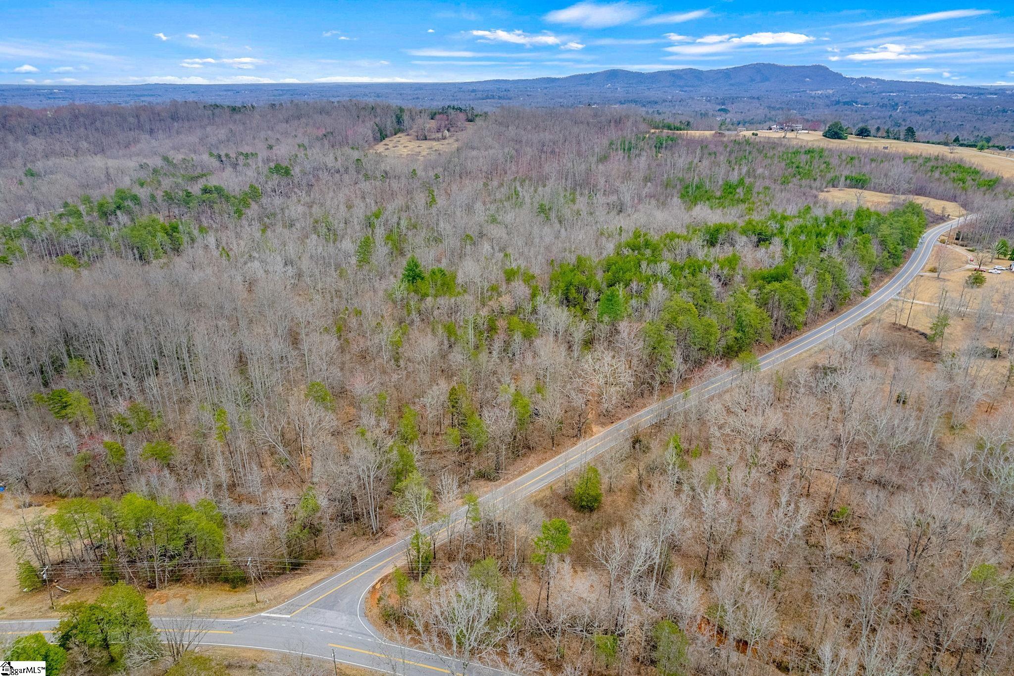 0000028a Tubbs Mountain Road Travelers Rest, SC 29690