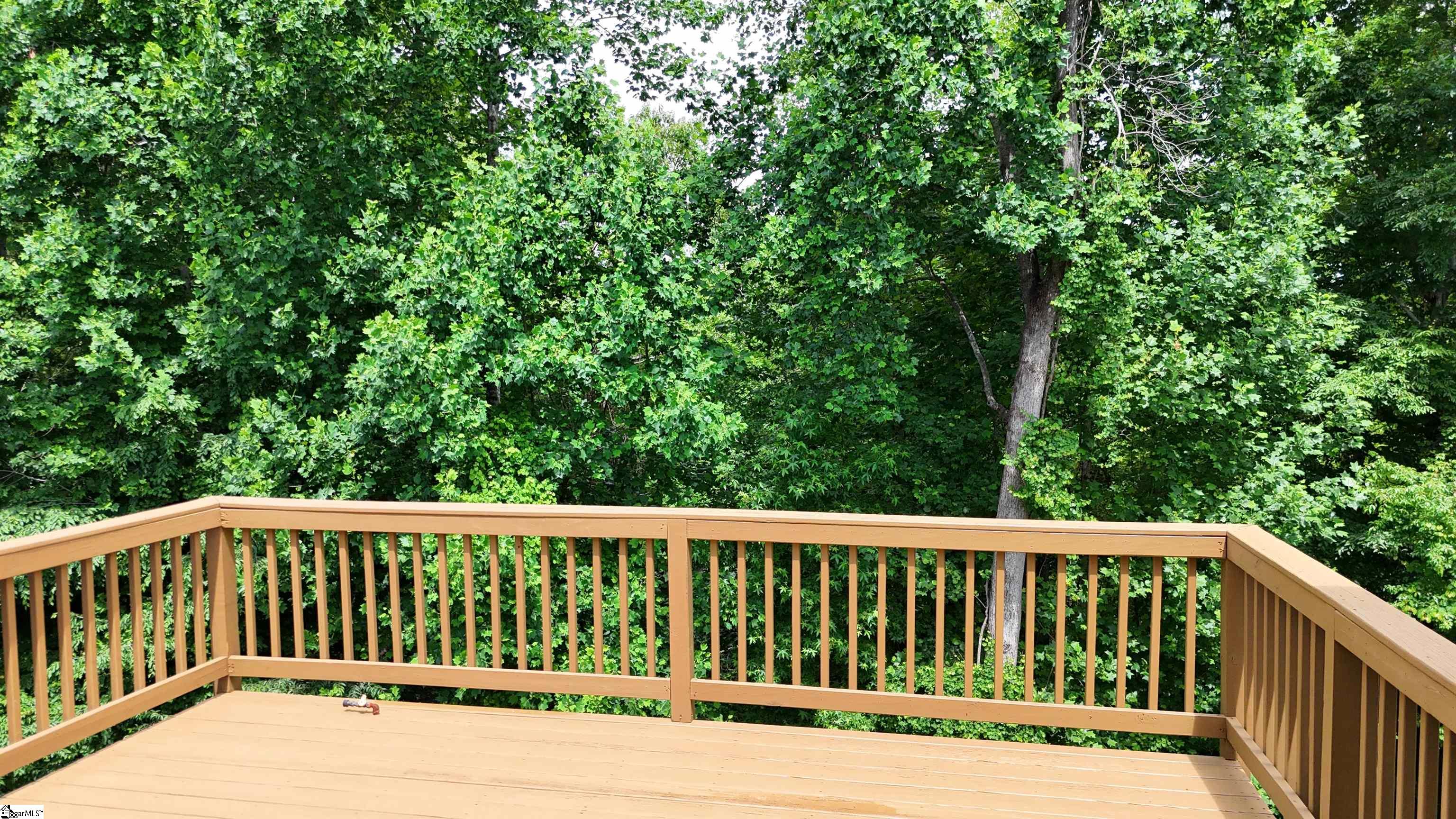 216 Scotts Bluff Drive Simpsonville, SC 29681