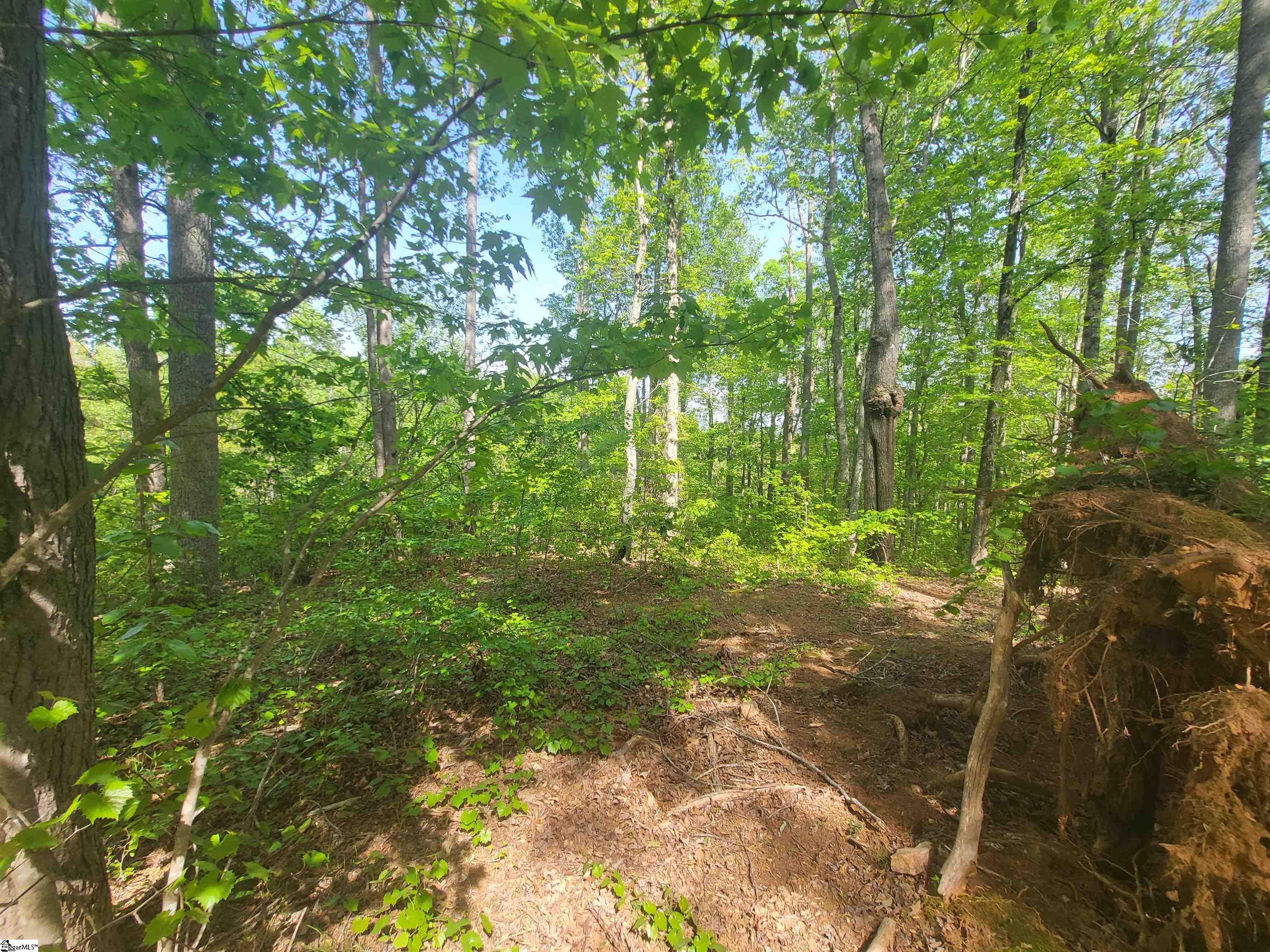 Homes for sale in Travelers Rest, SC | 121 Laurel Valley Wy, Travelers Rest, SC 29690 | MLS# 1580639