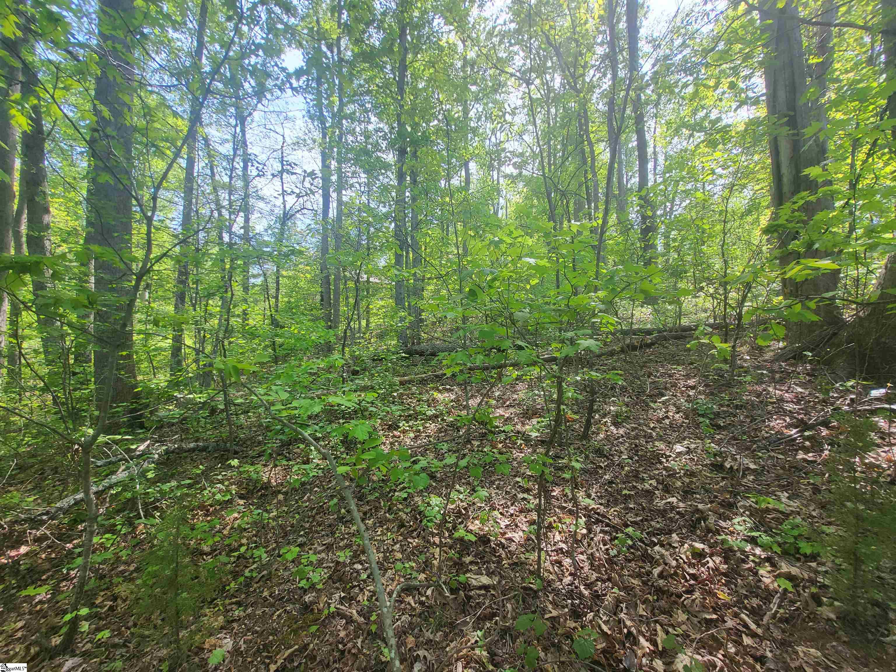 Homes for sale in Travelers Rest, SC | 121 Laurel Valley Wy, Travelers Rest, SC 29690 | MLS# 1580639