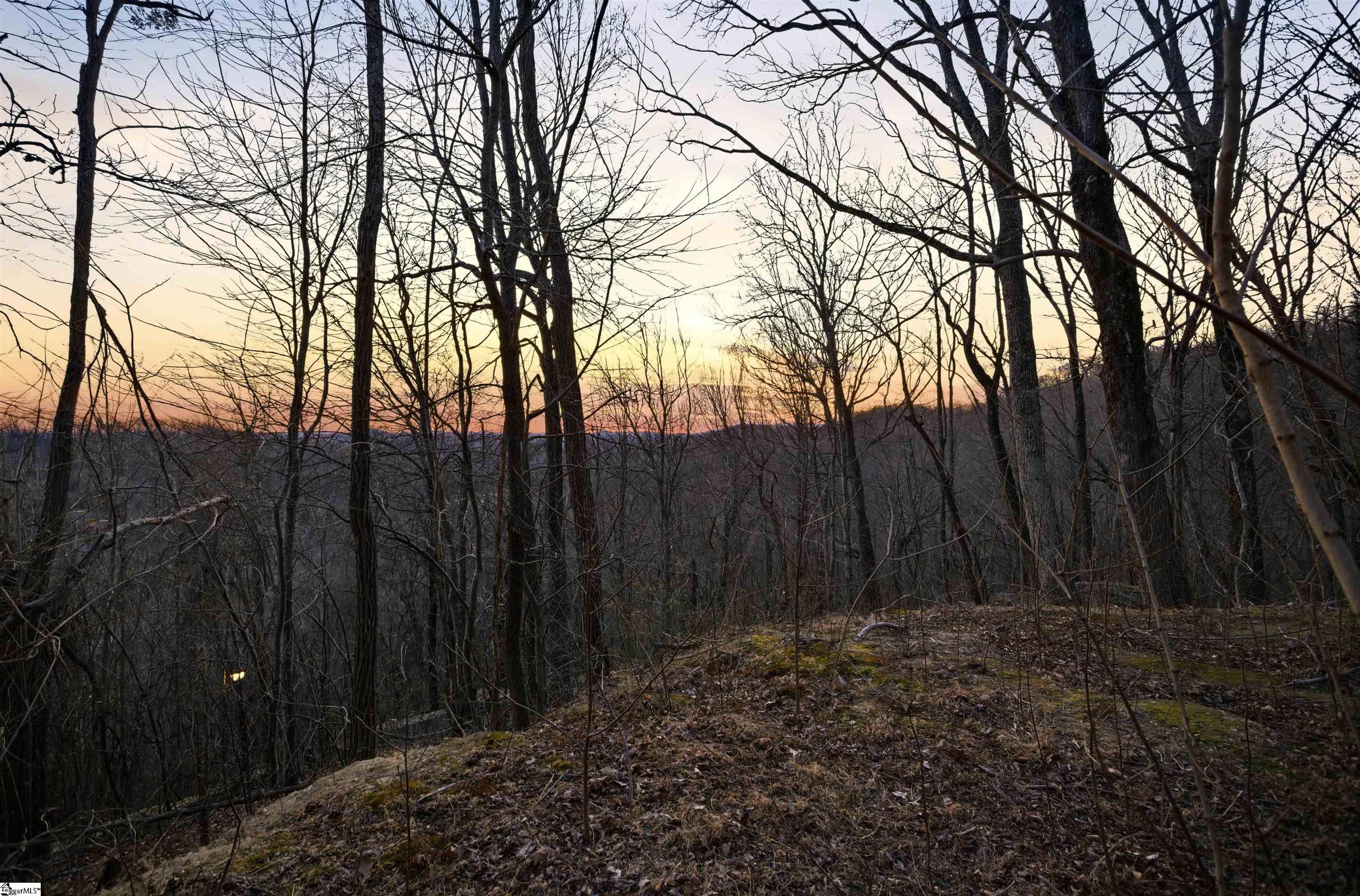 12 Hideaway Hill Way UNIT&nbsp;Lot, Landrum, SC, 29356