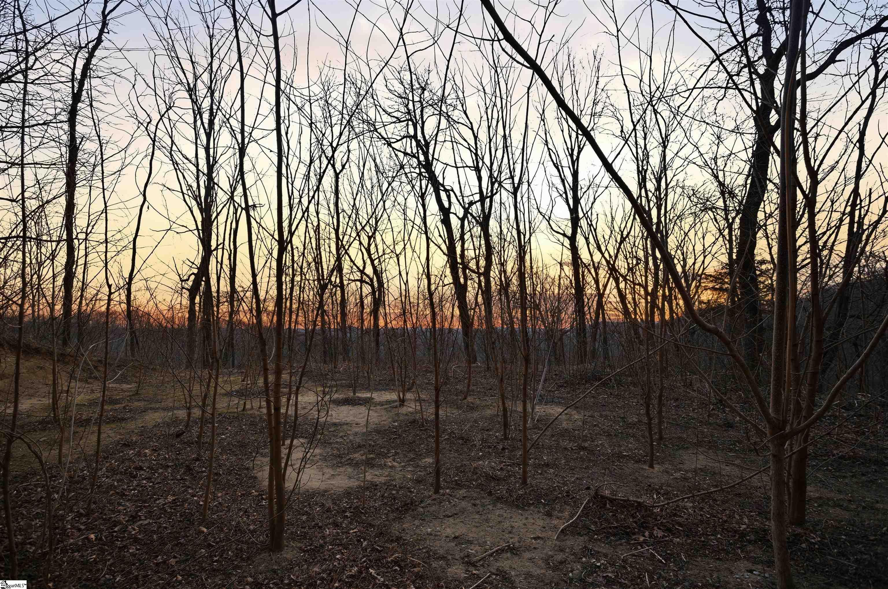 12 Hideaway Hill Way UNIT&nbsp;Lot, Landrum, SC, 29356