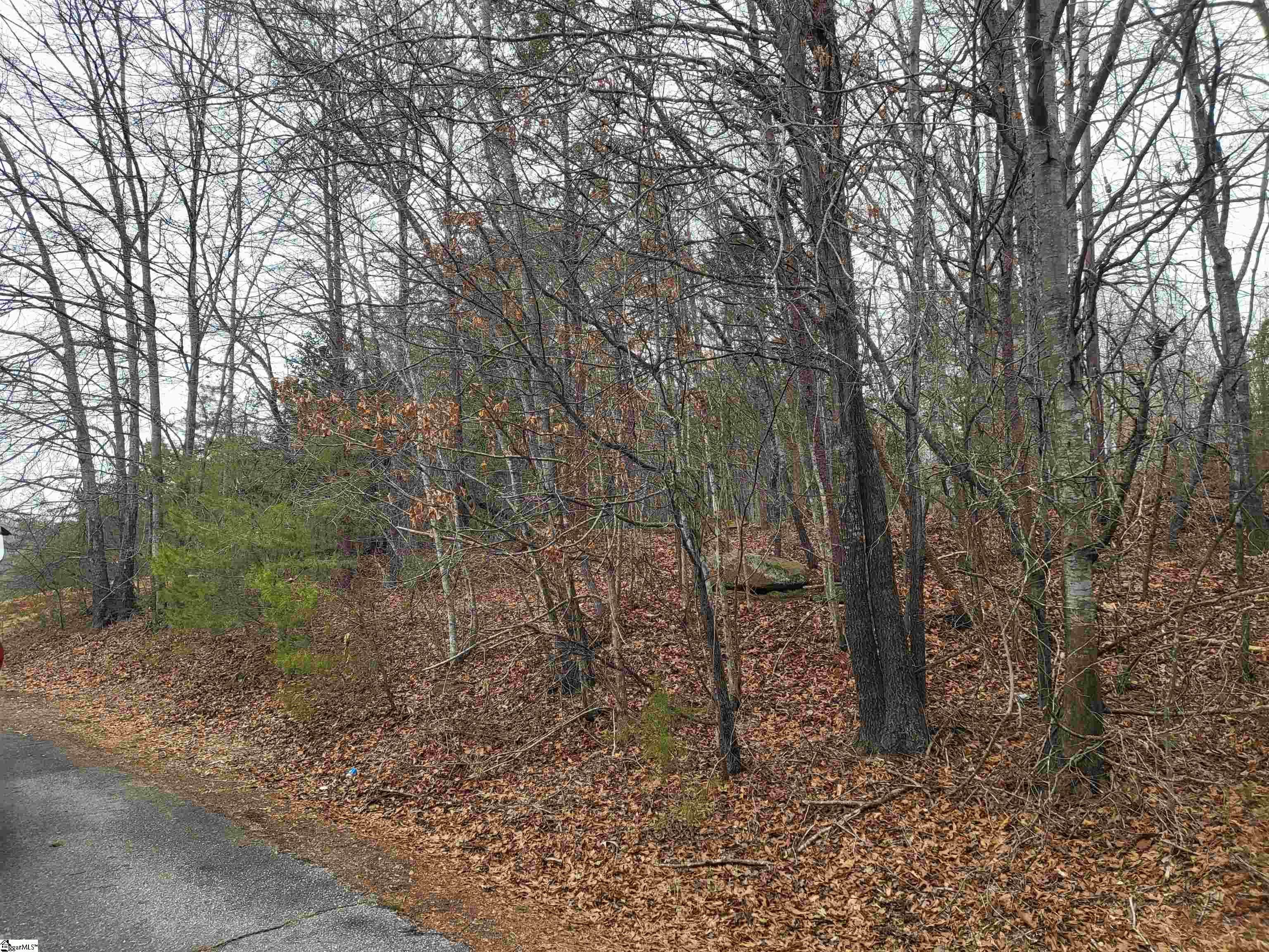 00 Campbell Covered Bridge Road photo 1