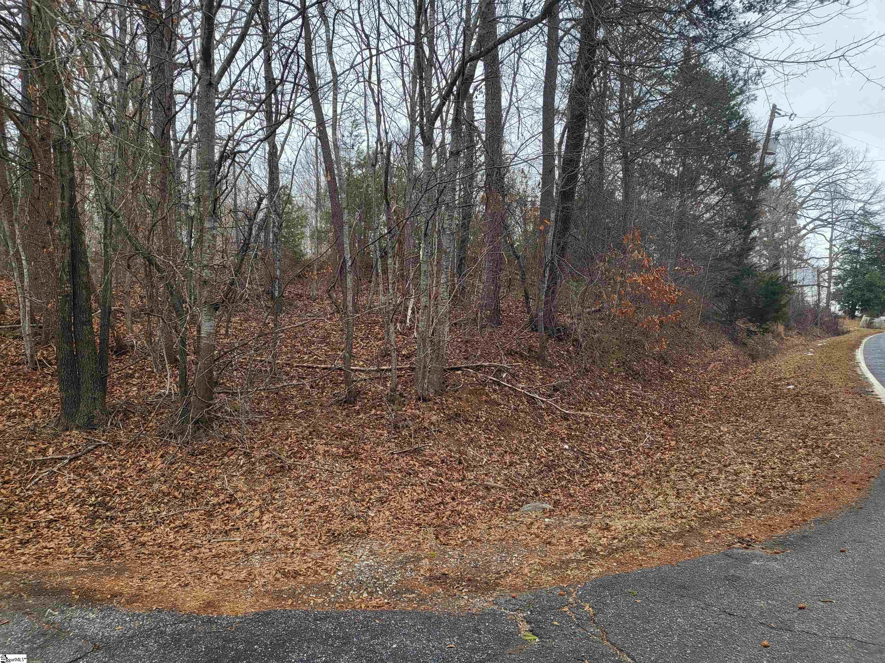 00 Campbell Covered Bridge Road photo 2