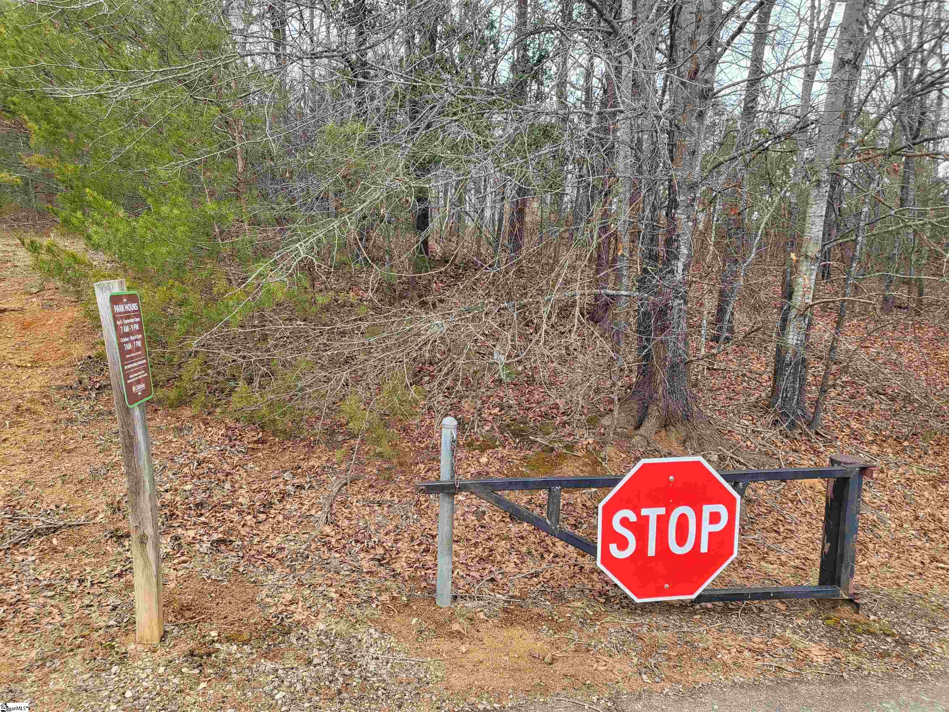 00 Campbell Covered Bridge Road photo 3
