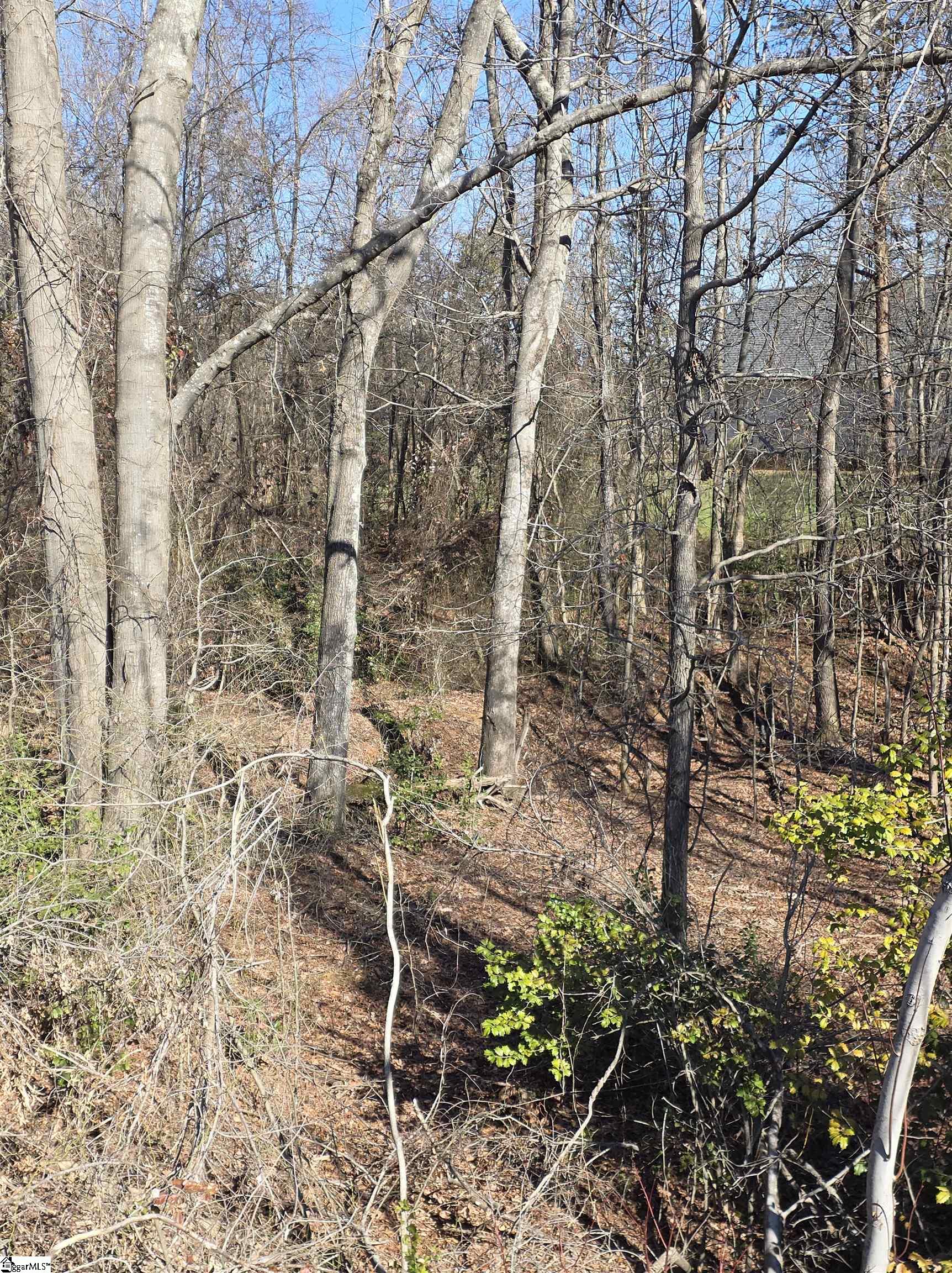 00 Stallings Road photo 3
