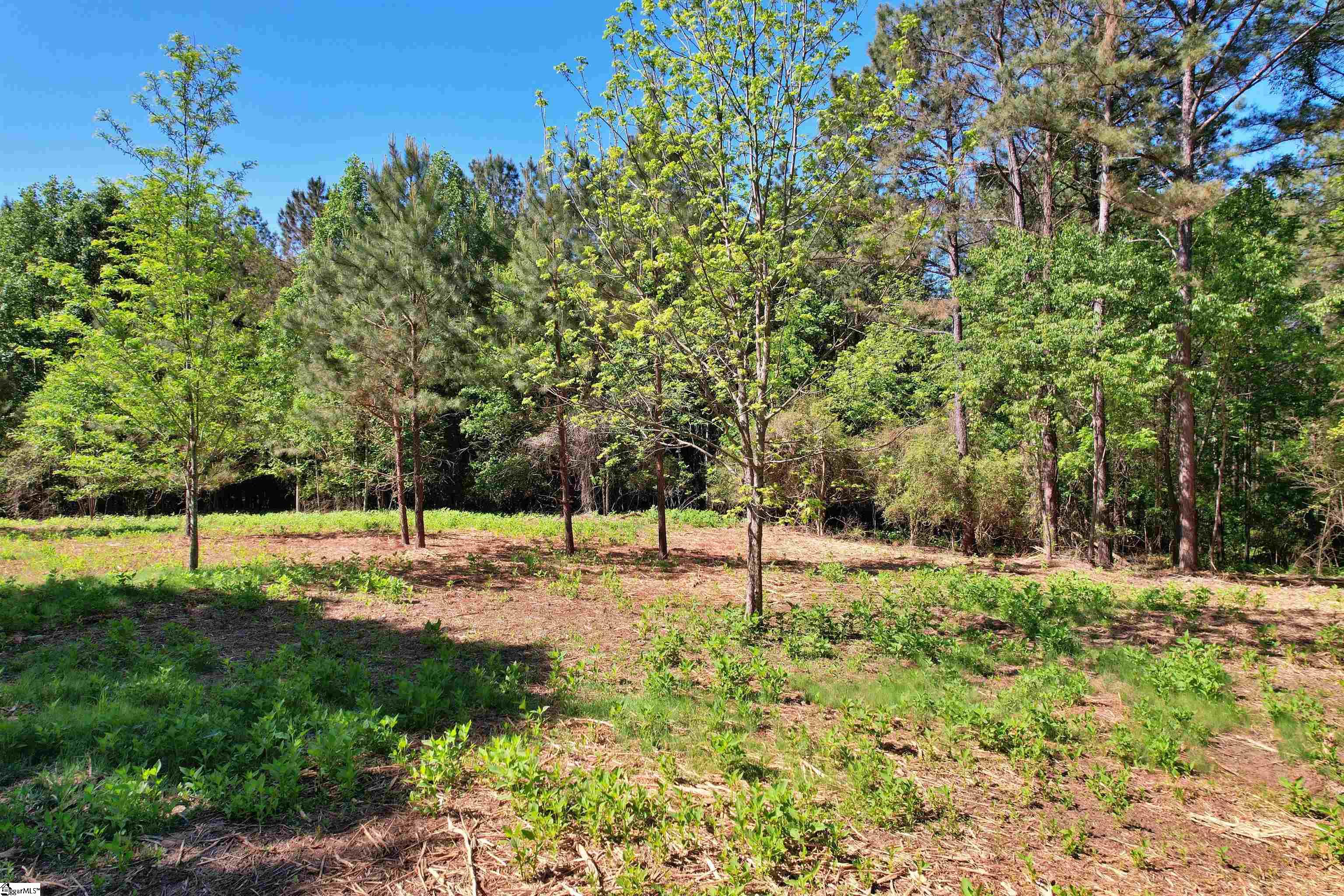 Lot 134 McAlister Road West Union, SC 29696