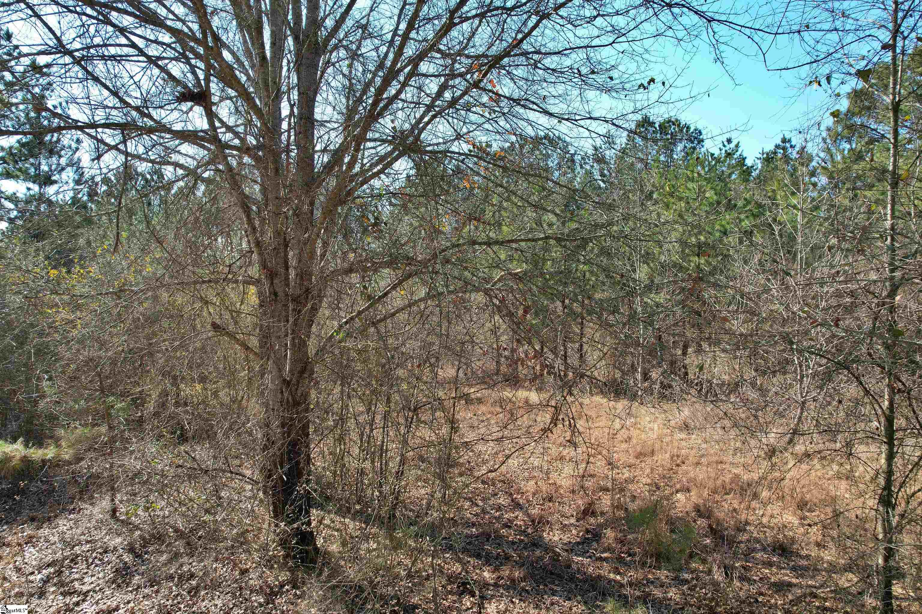 Lot 134 McAlister Road West Union, SC 29696