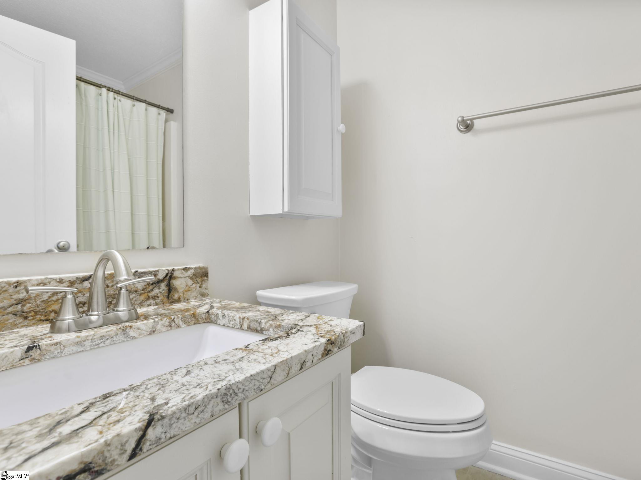 10 Torrey Pine Court Spartanburg, SC 29306-6641
