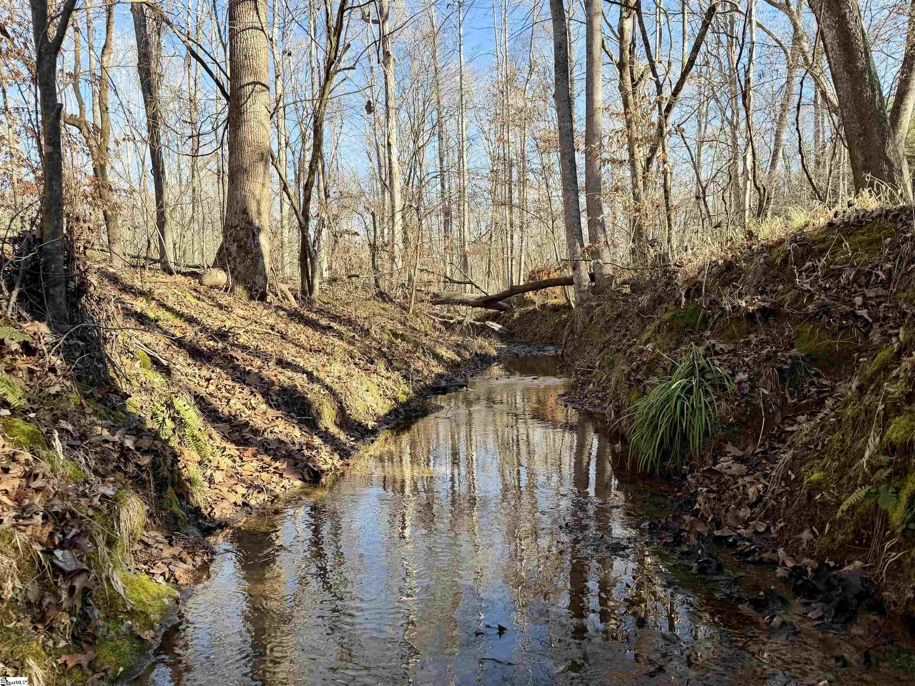 00 Neely Ferry Road photo 2