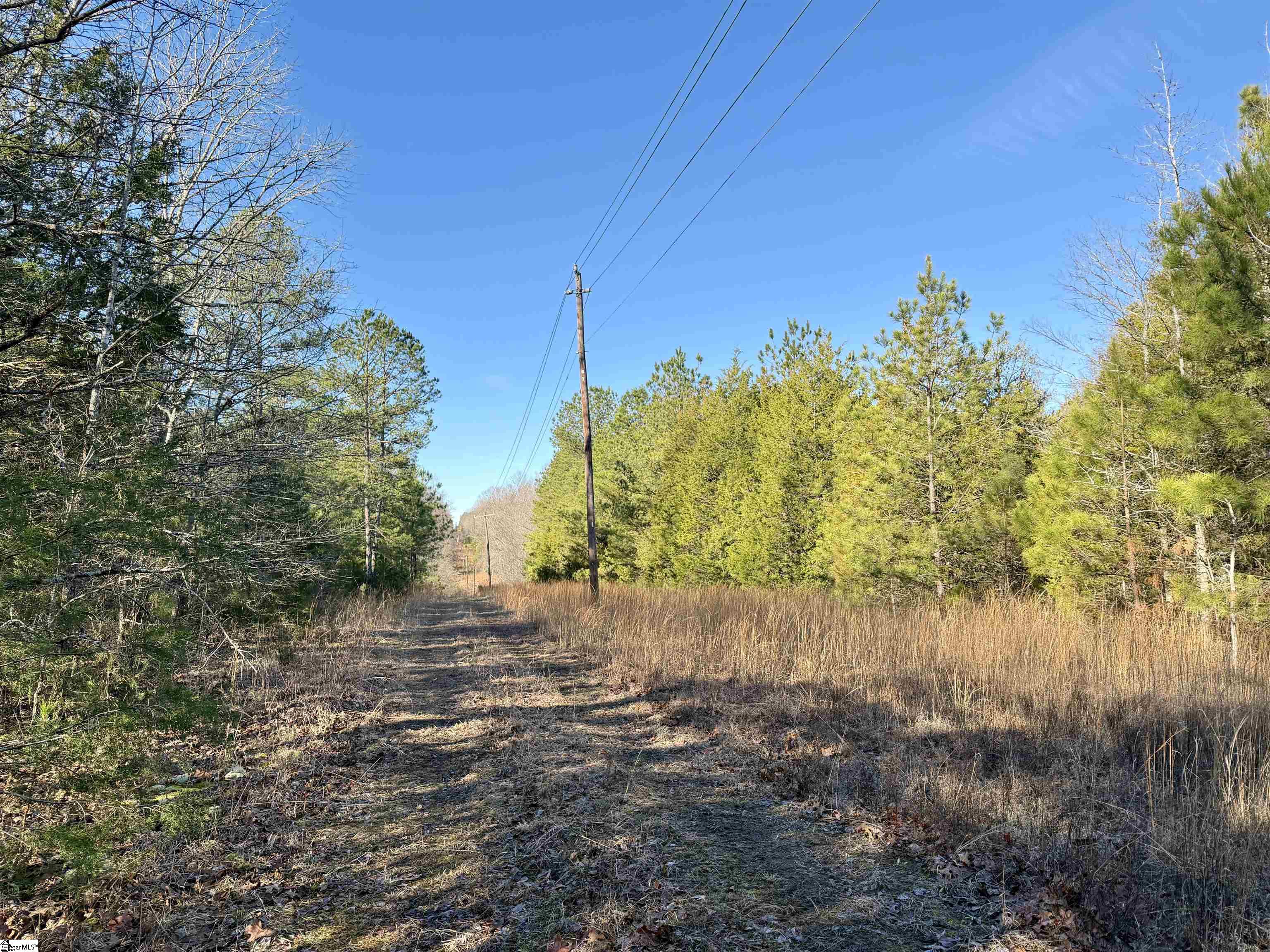00 Neely Ferry Road photo 11