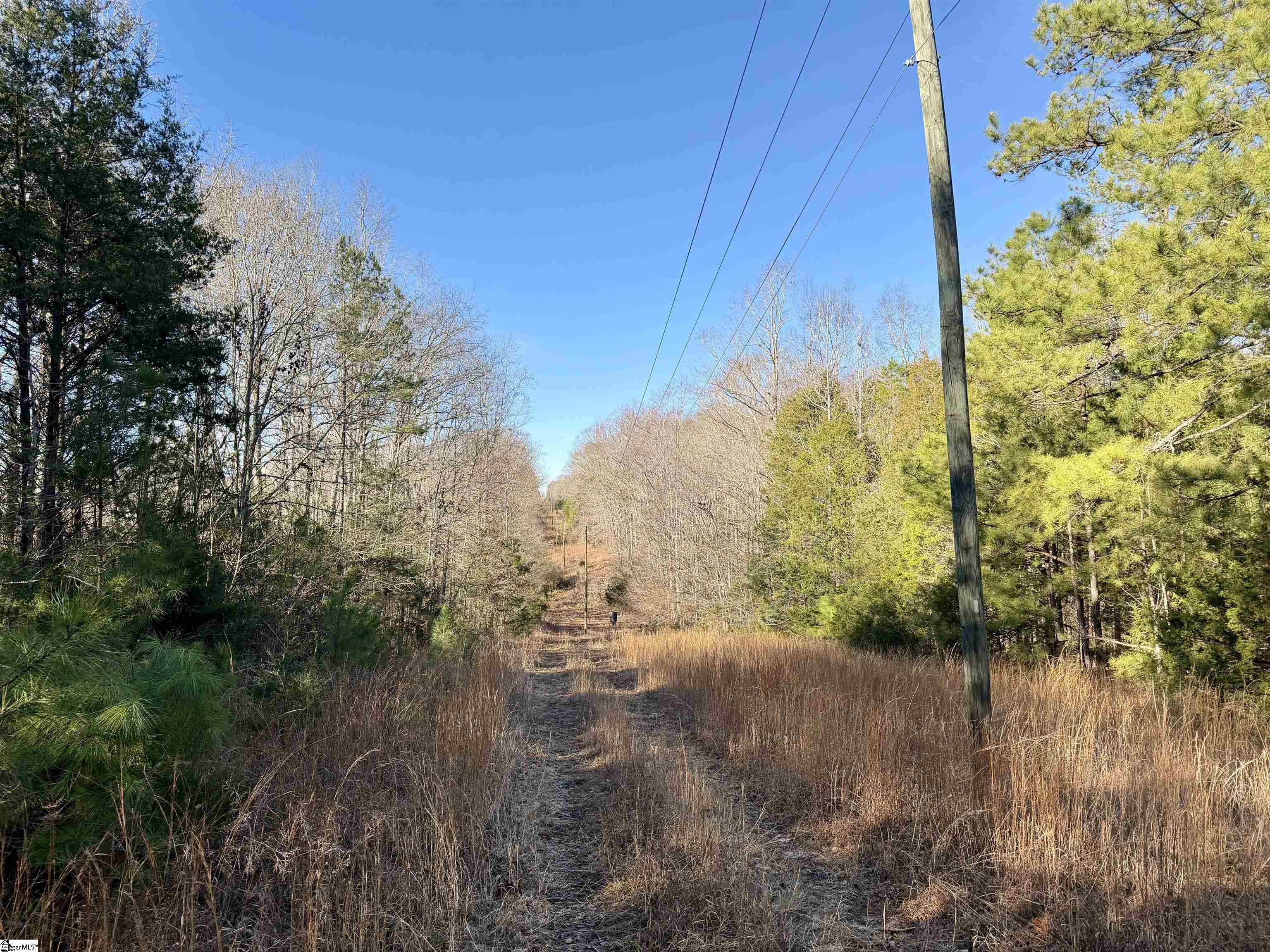 00 Neely Ferry Road photo 12