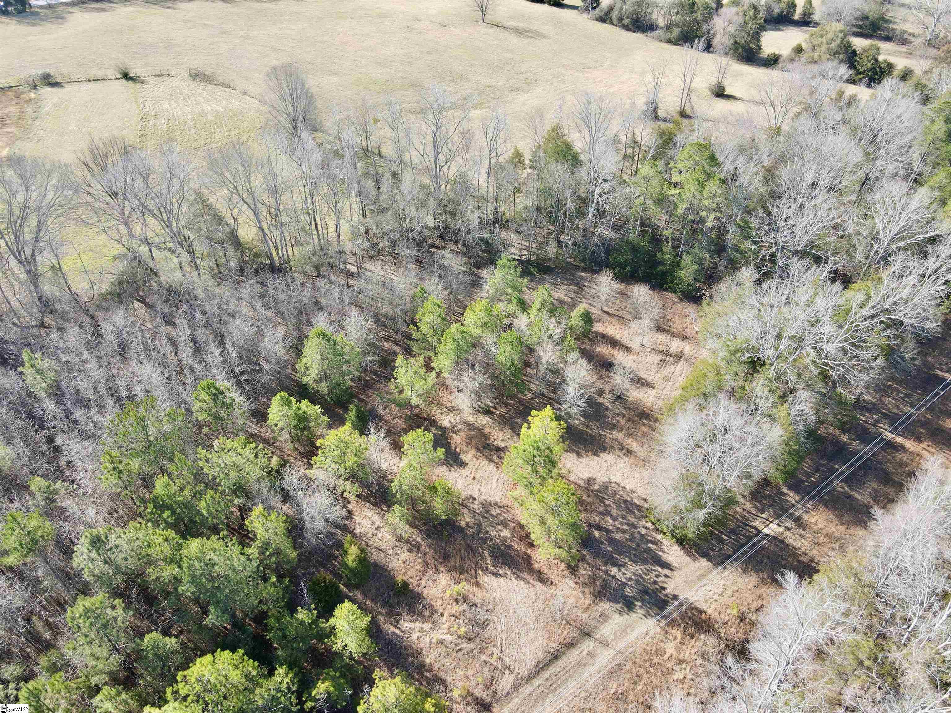 00 Neely Ferry Road photo 13