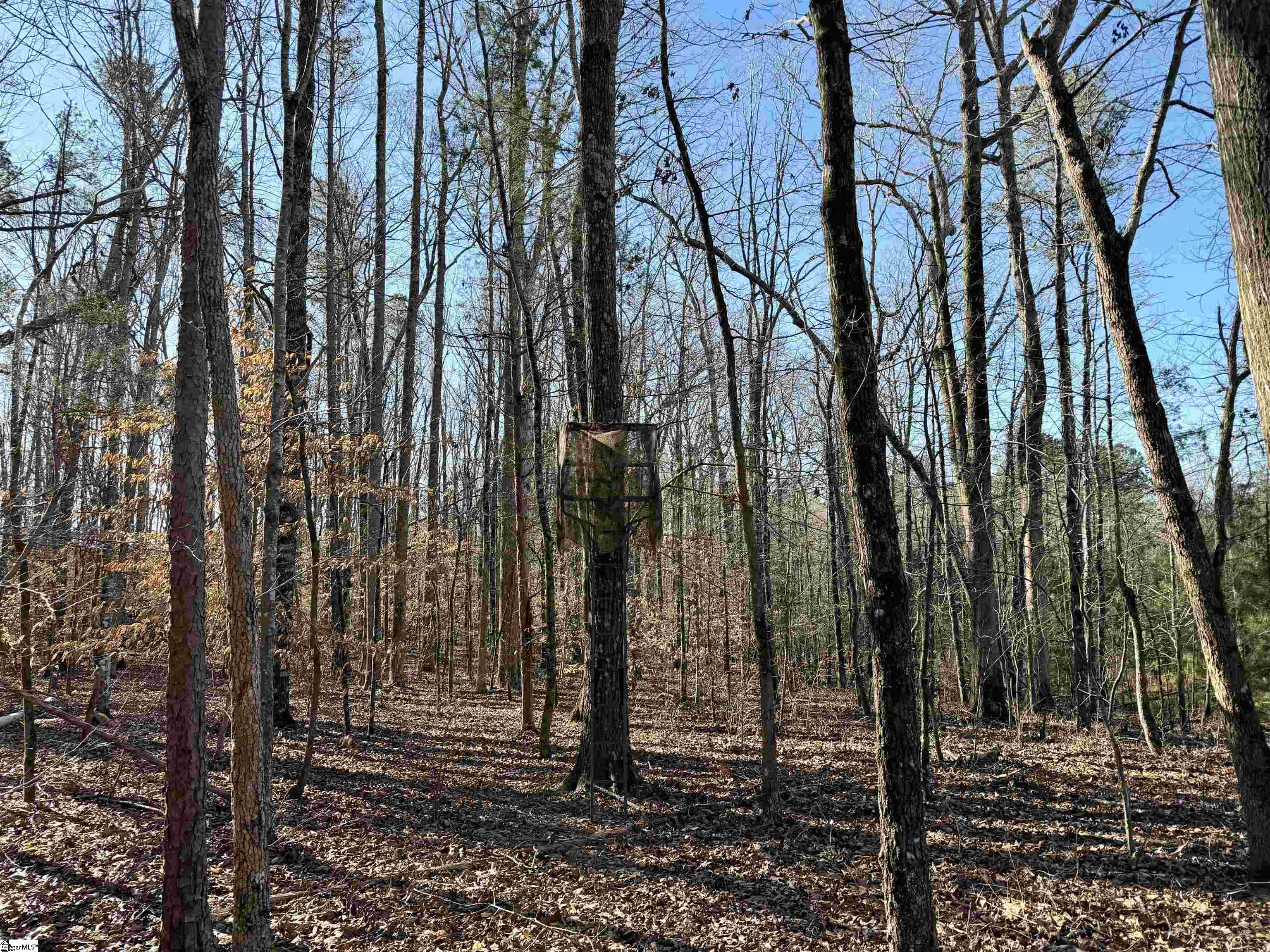 00 Neely Ferry Road photo 14
