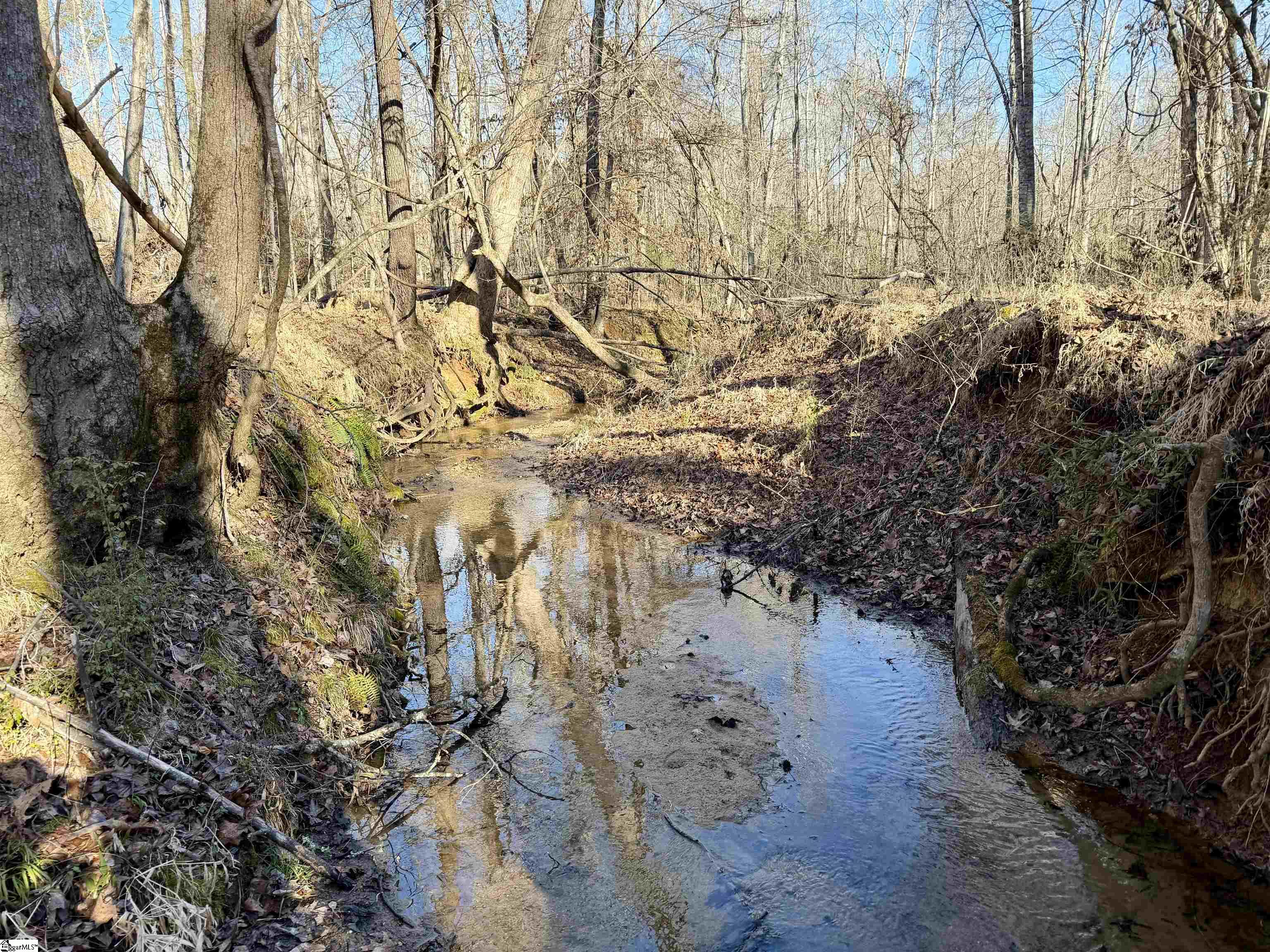 00 Neely Ferry Road photo 16