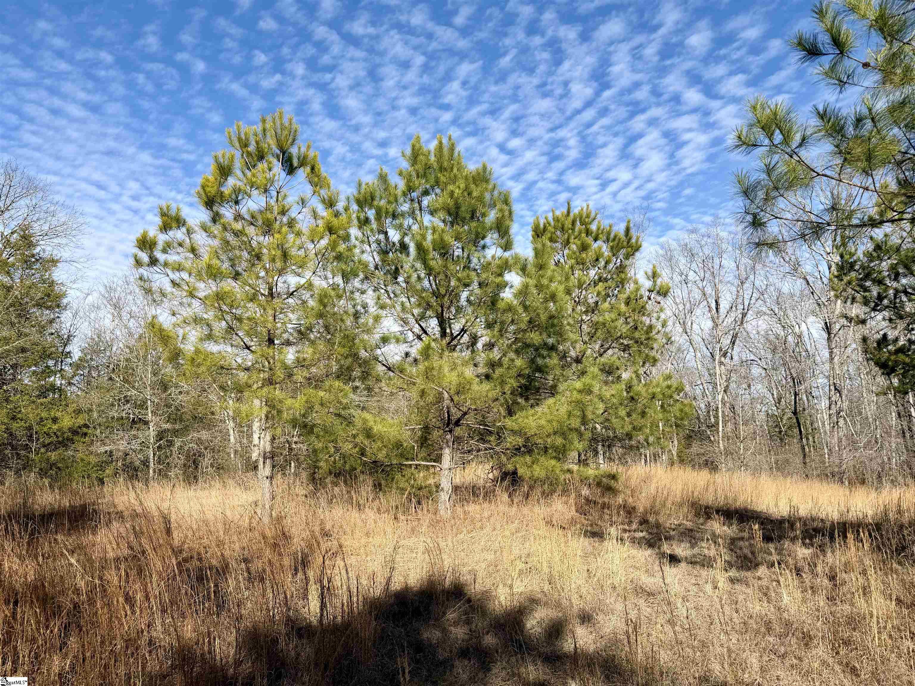 00 Neely Ferry Road photo 17