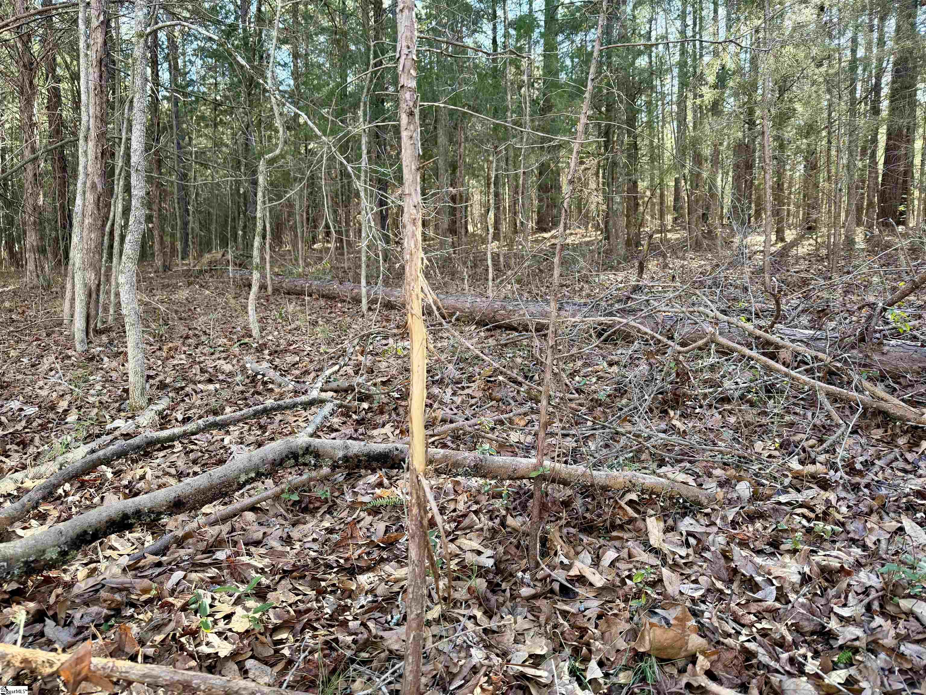00 Neely Ferry Road photo 18