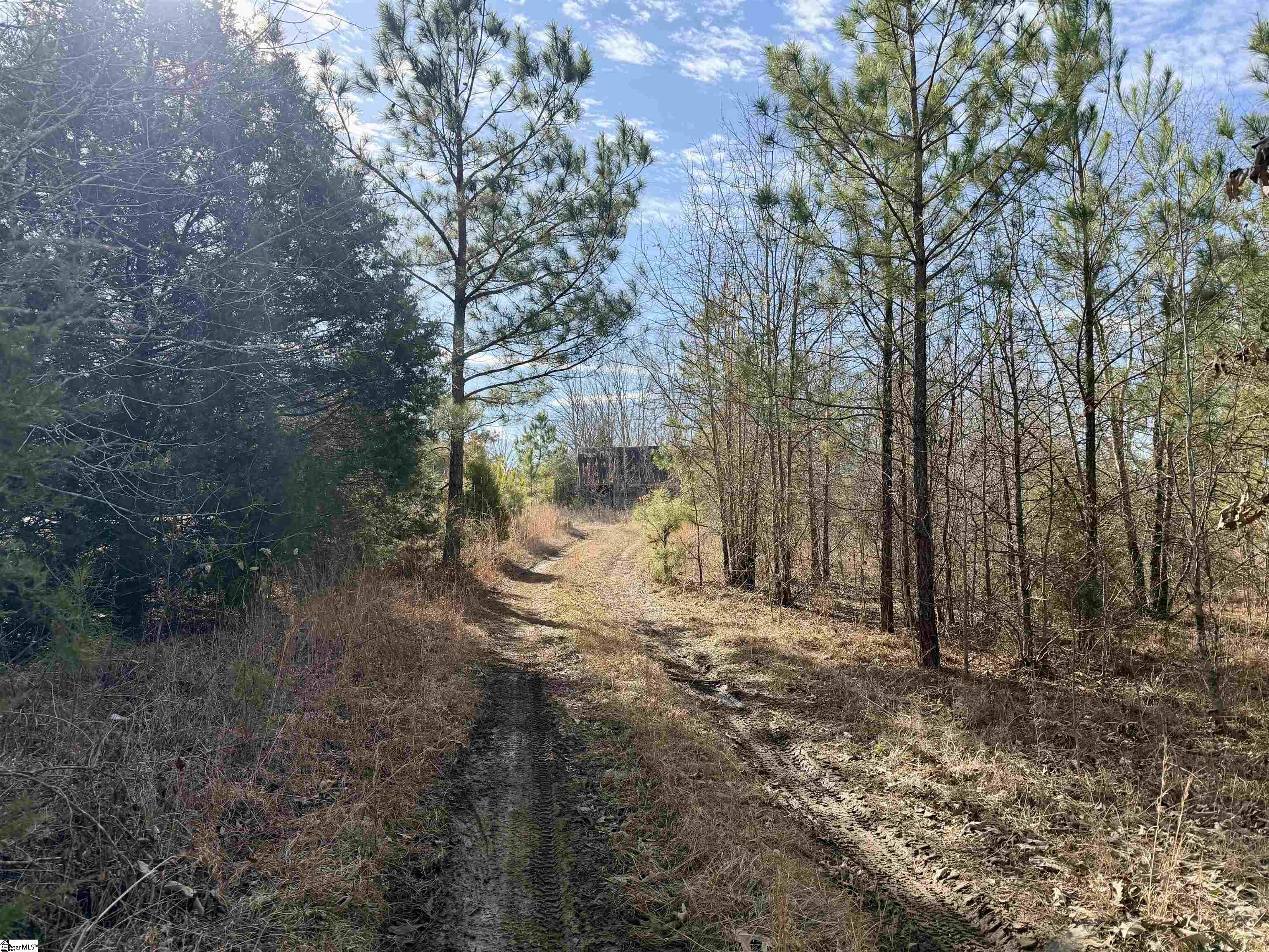 00 Neely Ferry Road photo 20