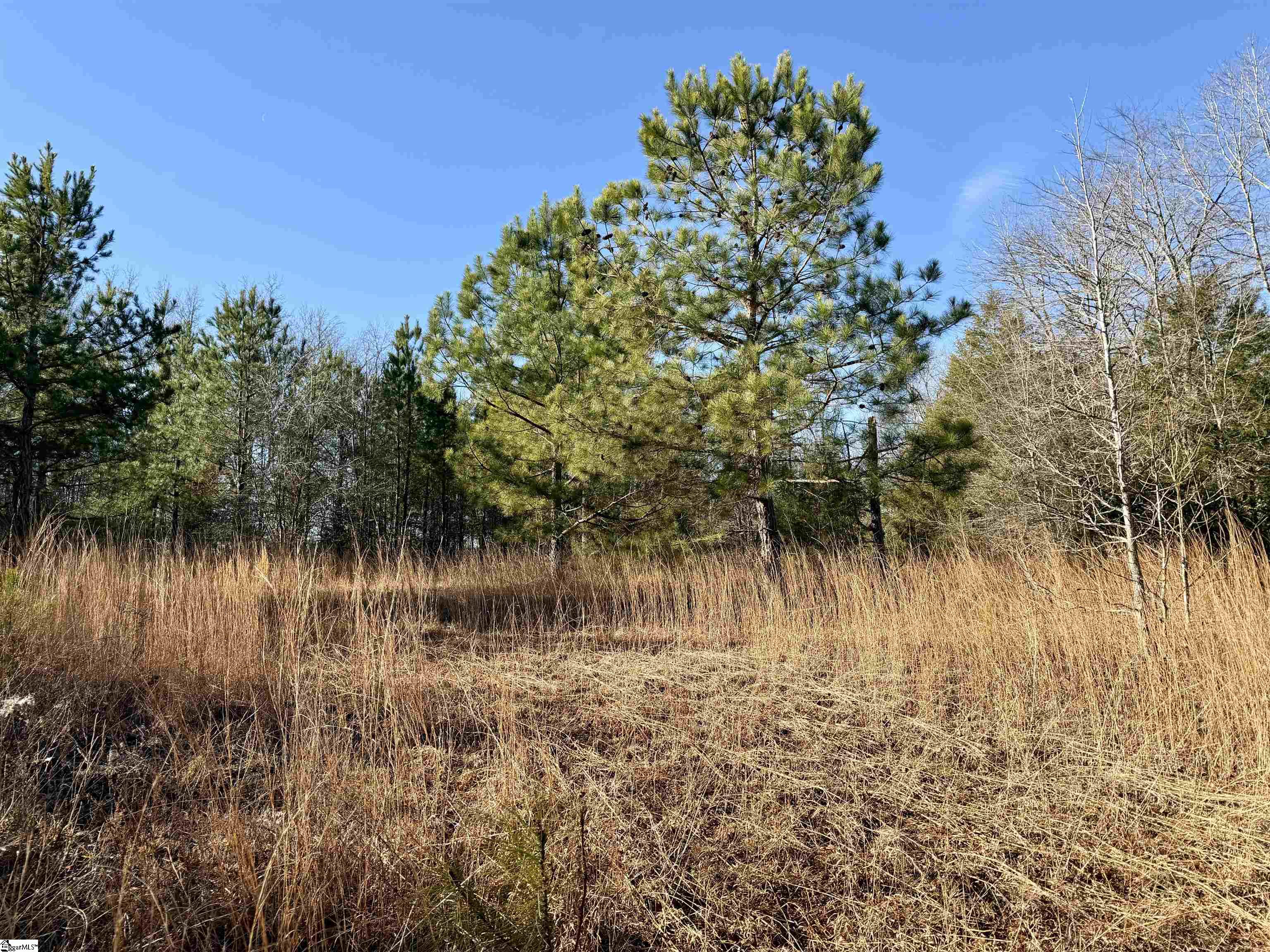 00 Neely Ferry Road photo 3