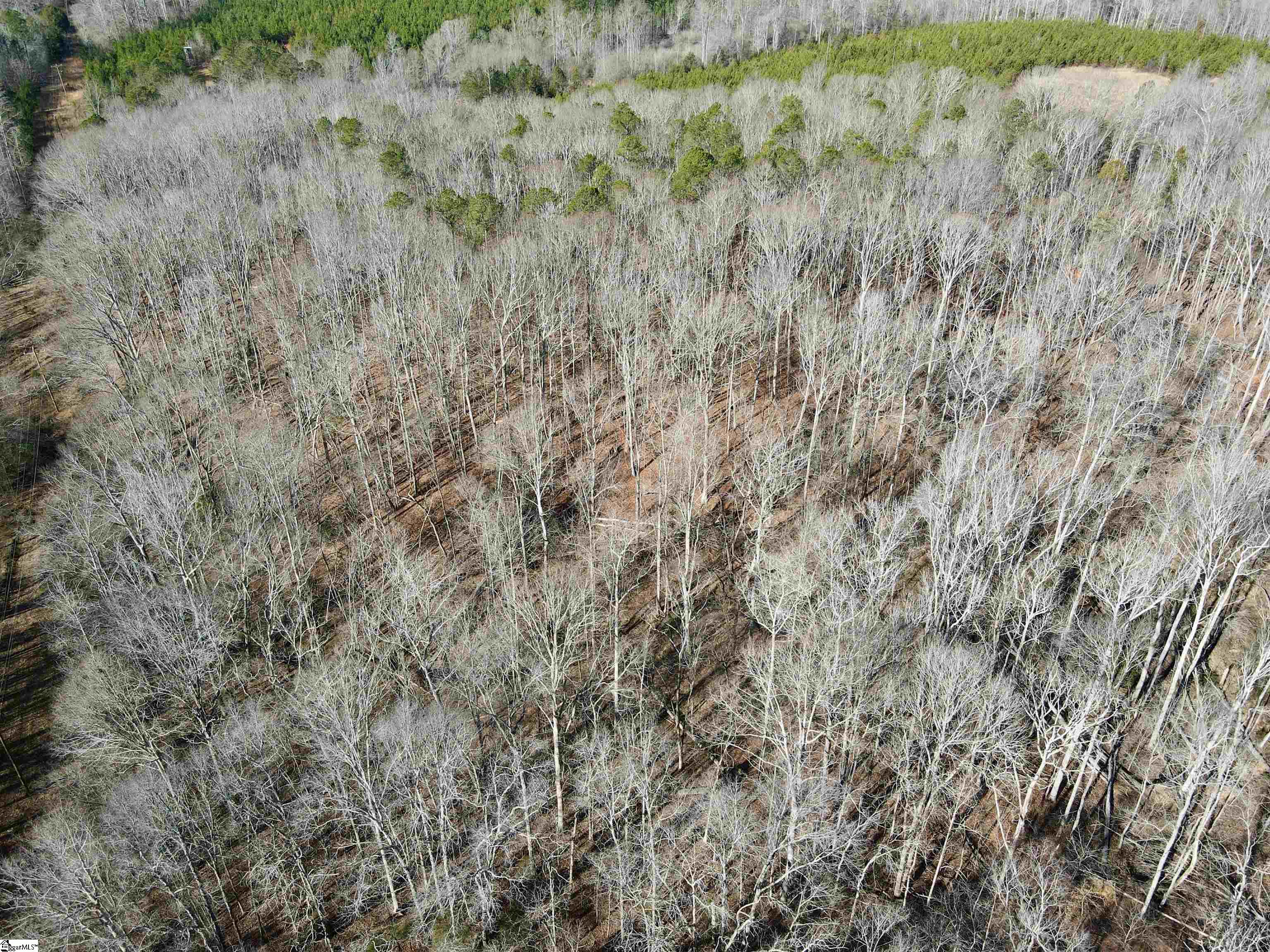 00 Neely Ferry Road photo 22