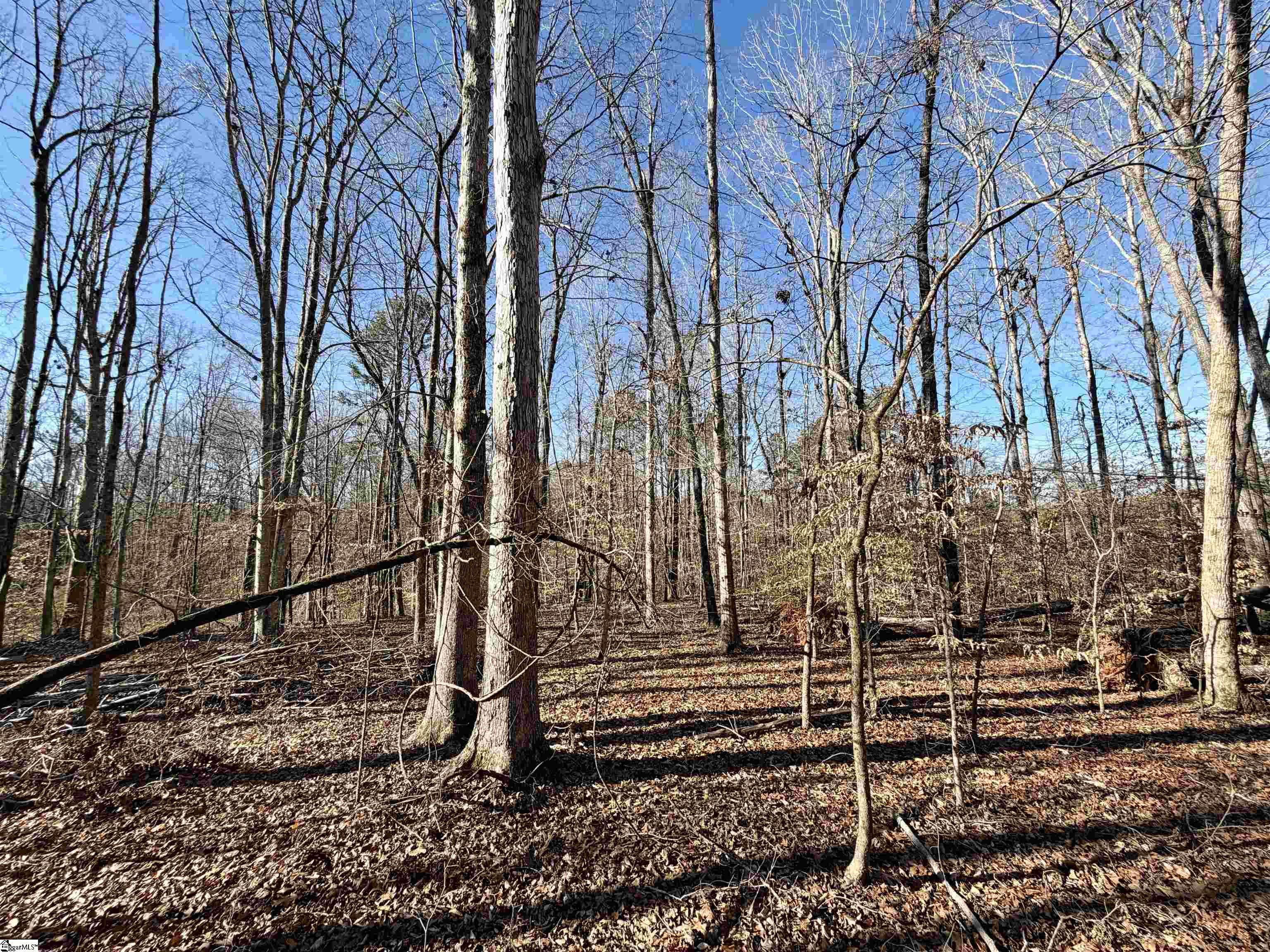 00 Neely Ferry Road photo 23
