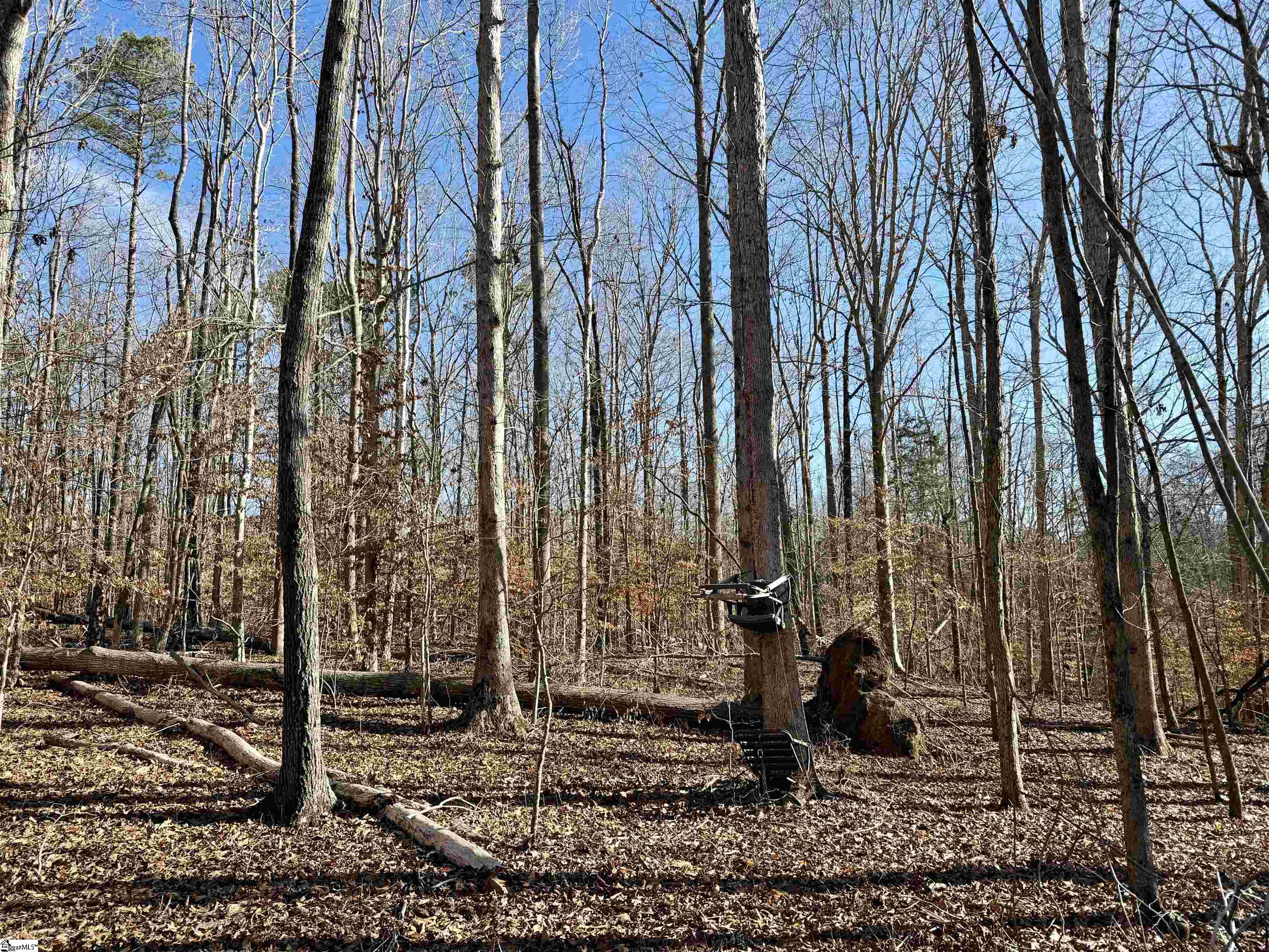 00 Neely Ferry Road photo 6