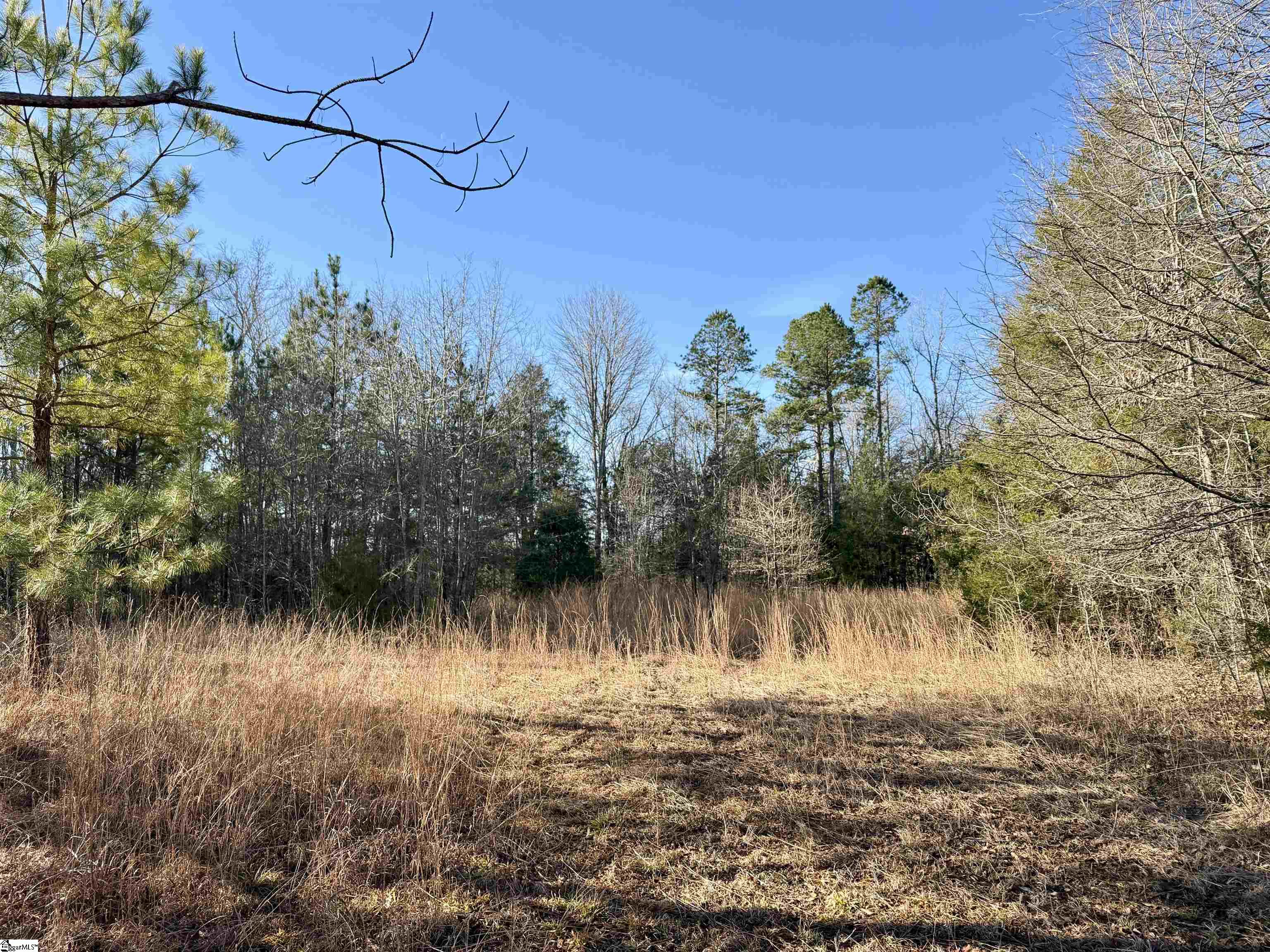 00 Neely Ferry Road photo 8