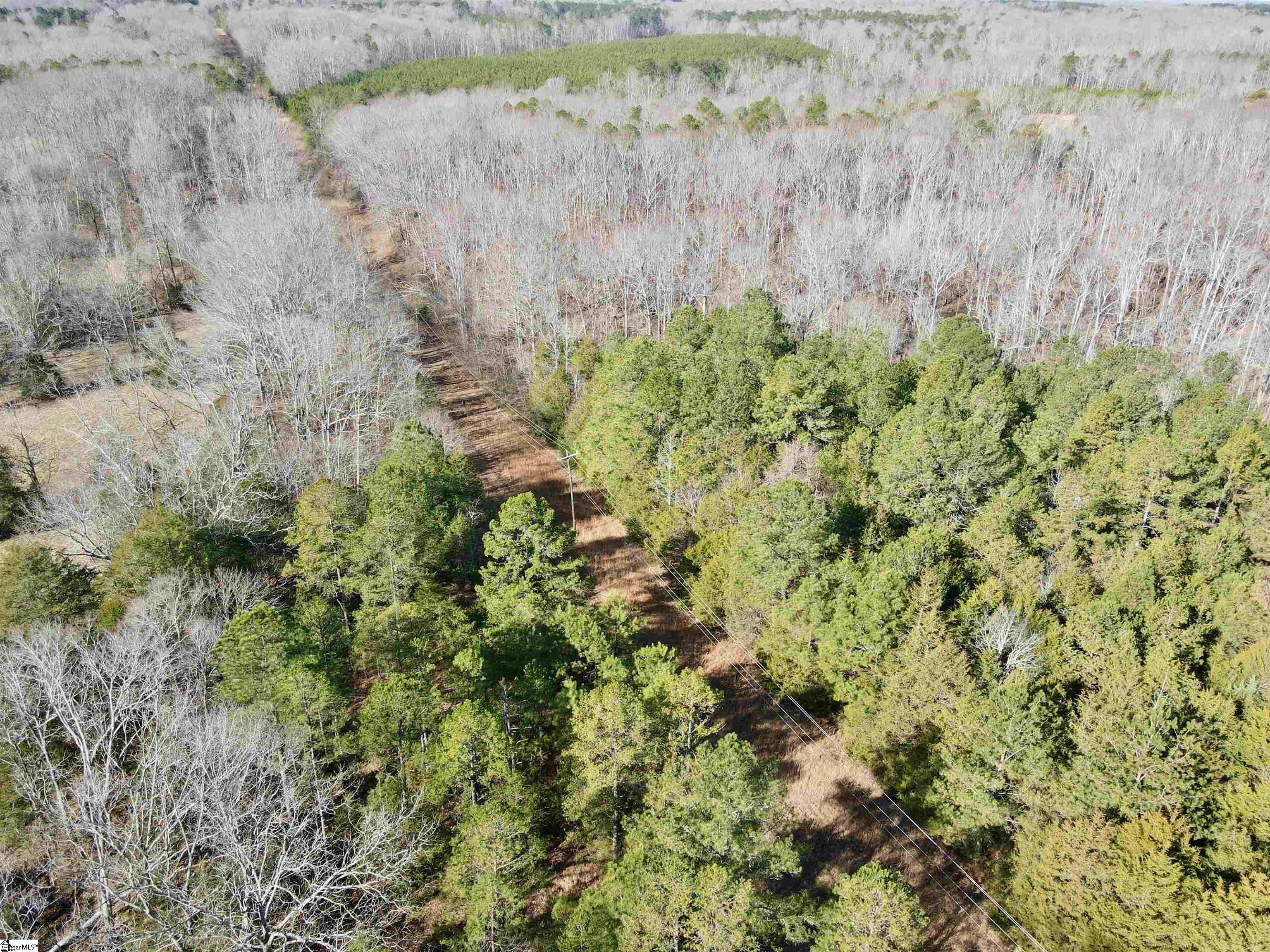 00 Neely Ferry Road photo 10