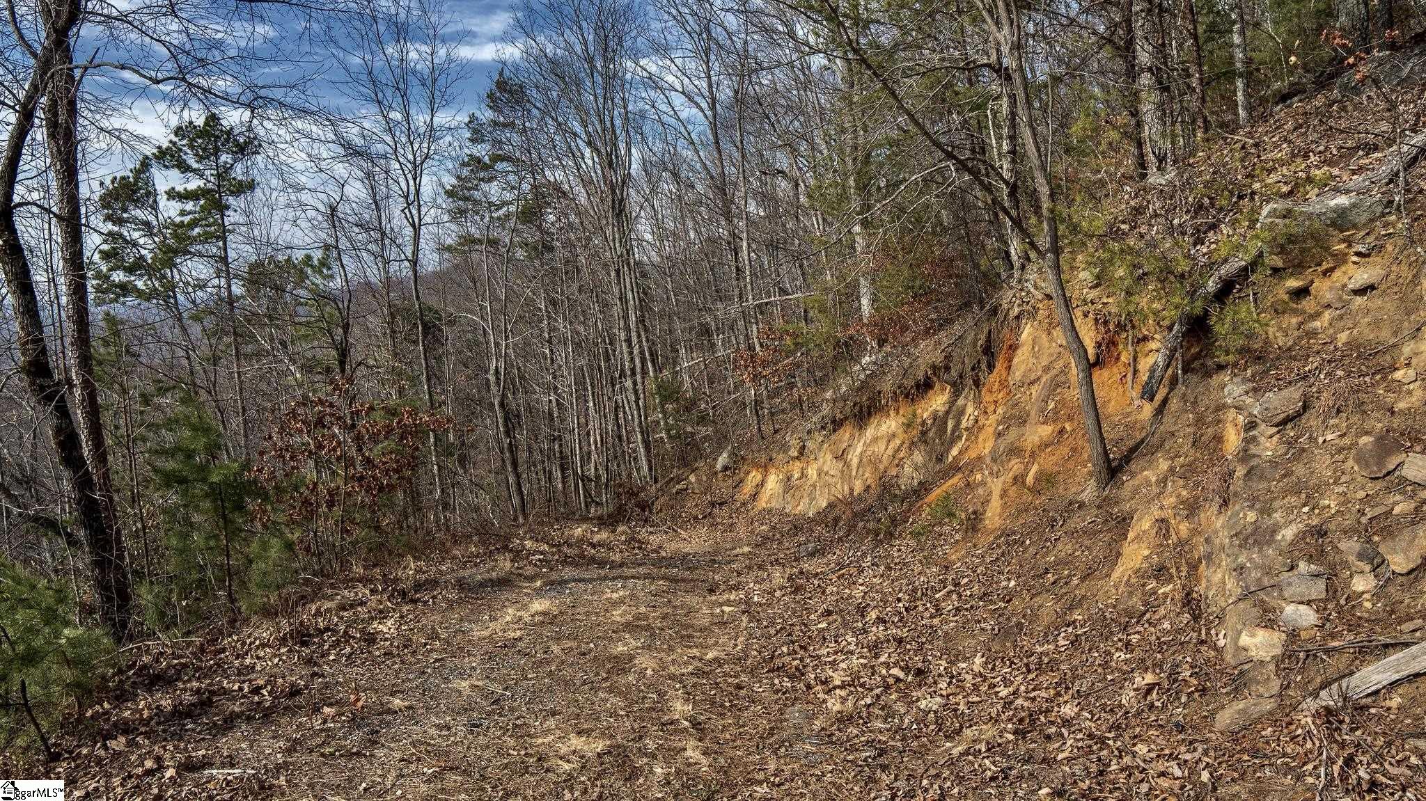146 Glassy Falls Trail Travelers Rest, SC 29690