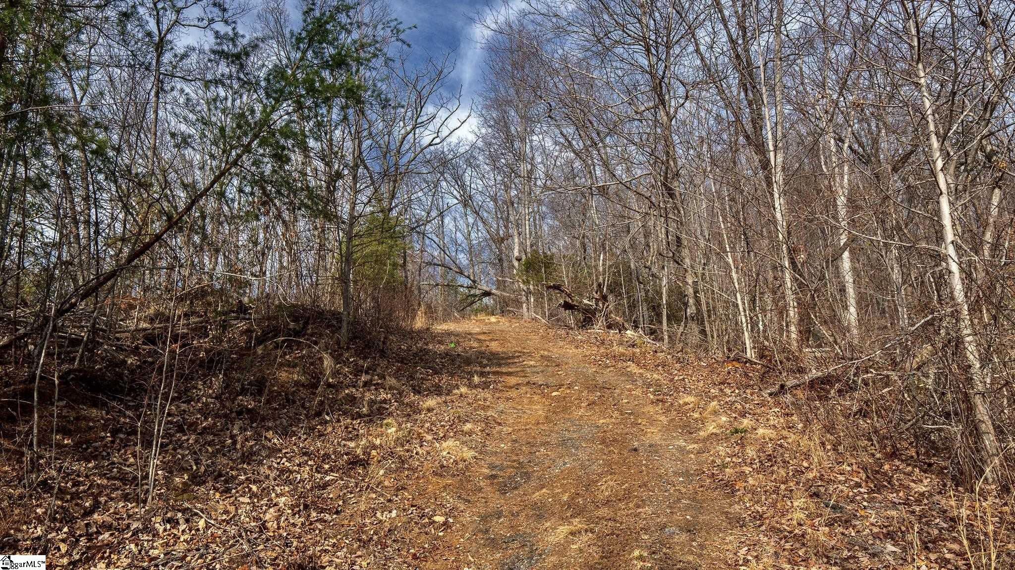 146 Glassy Falls Trail Travelers Rest, SC 29690