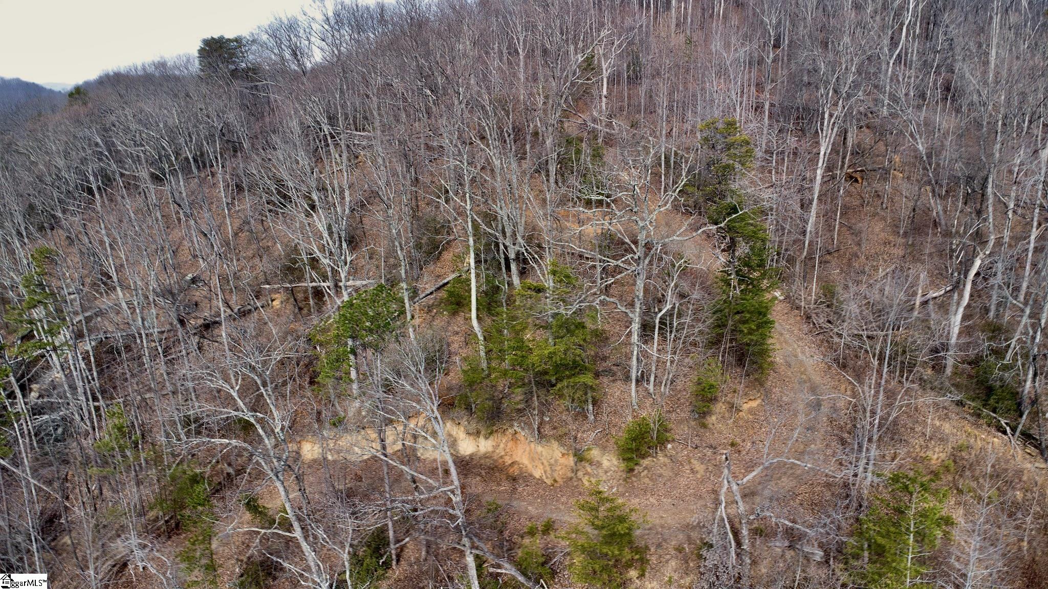 146 Glassy Falls Trail Travelers Rest, SC 29690