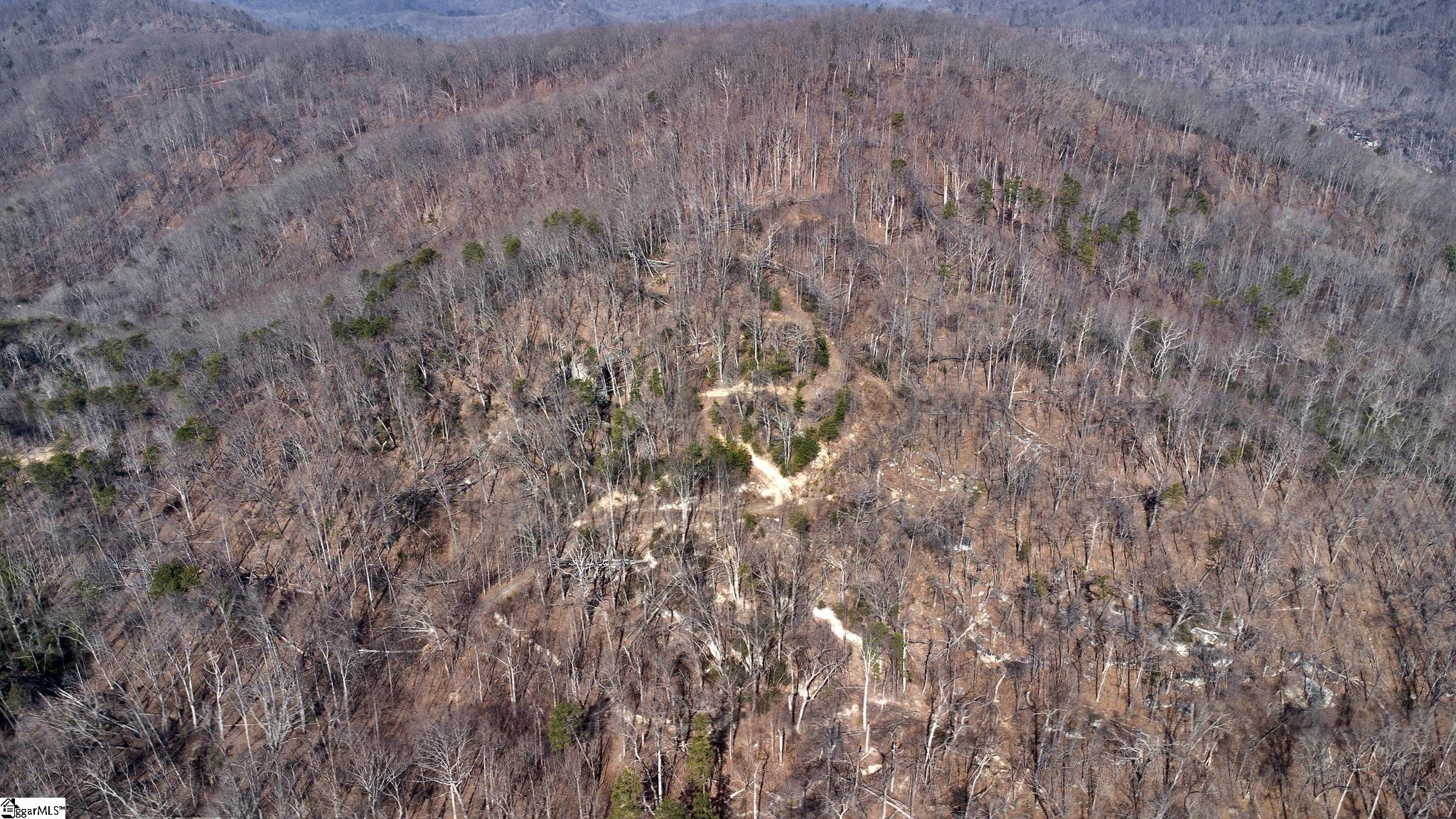 146 Glassy Falls Trail Travelers Rest, SC 29690