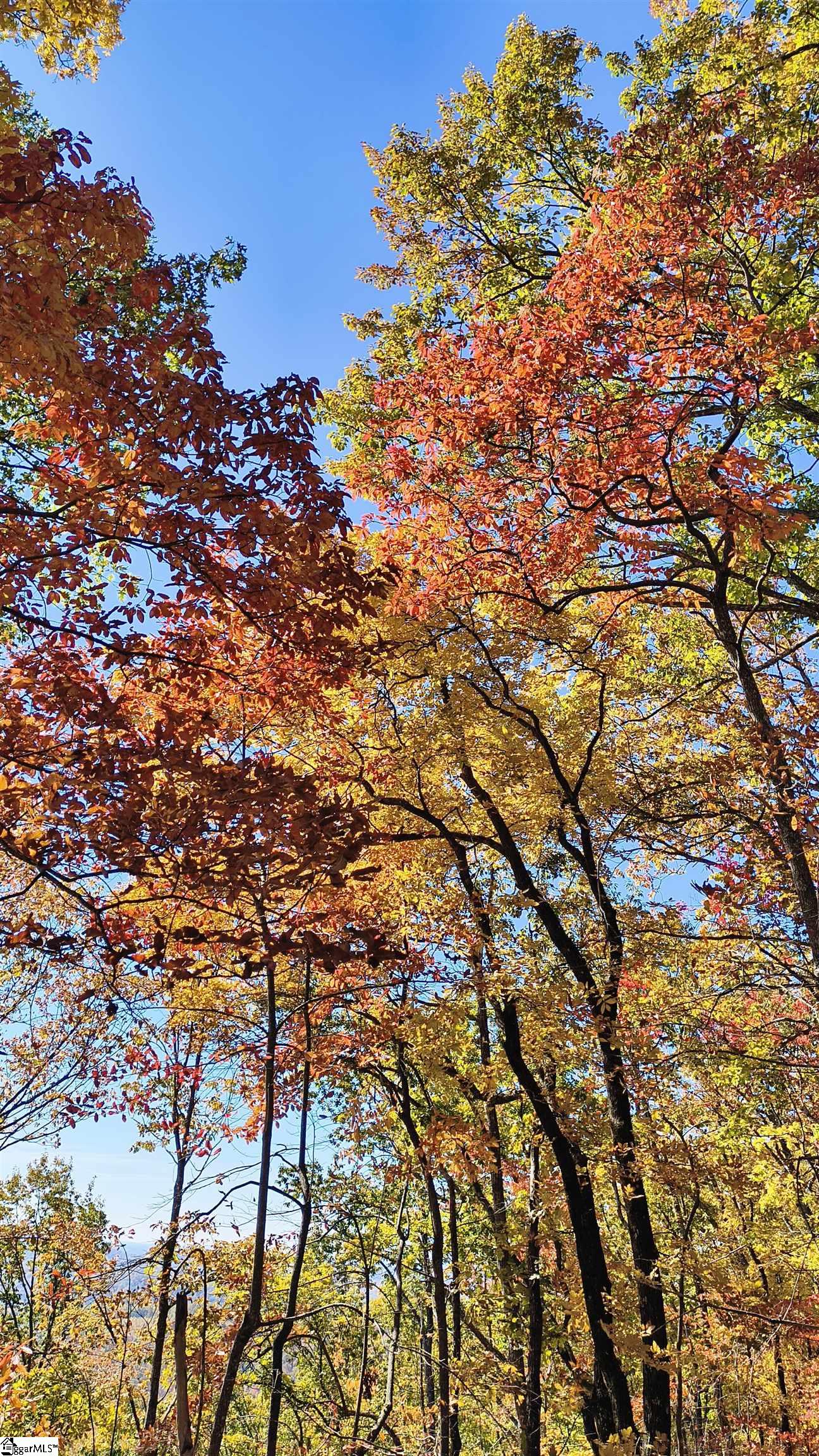 146 Glassy Falls Trail Travelers Rest, SC 29690