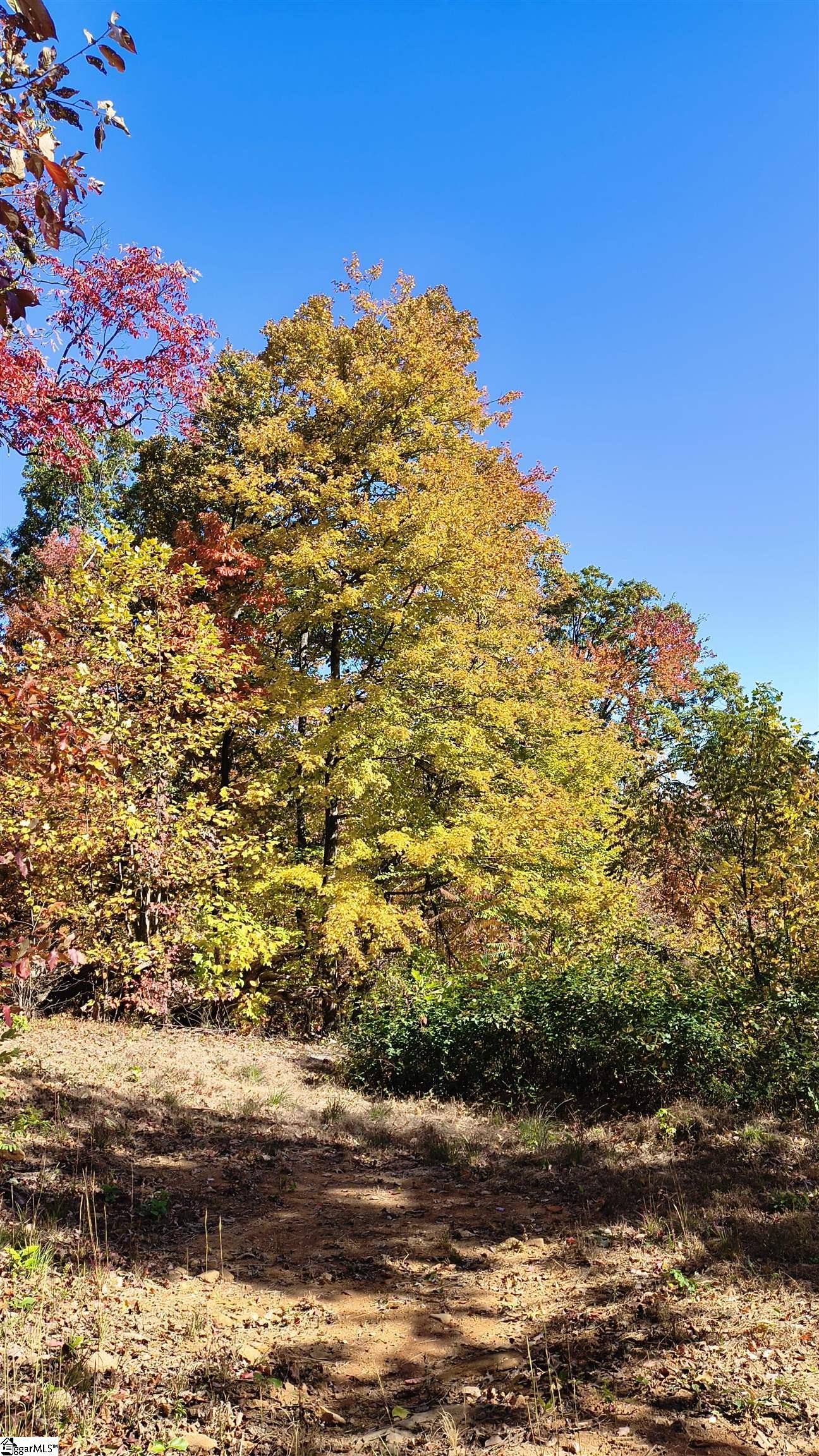 146 Glassy Falls Trail Travelers Rest, SC 29690