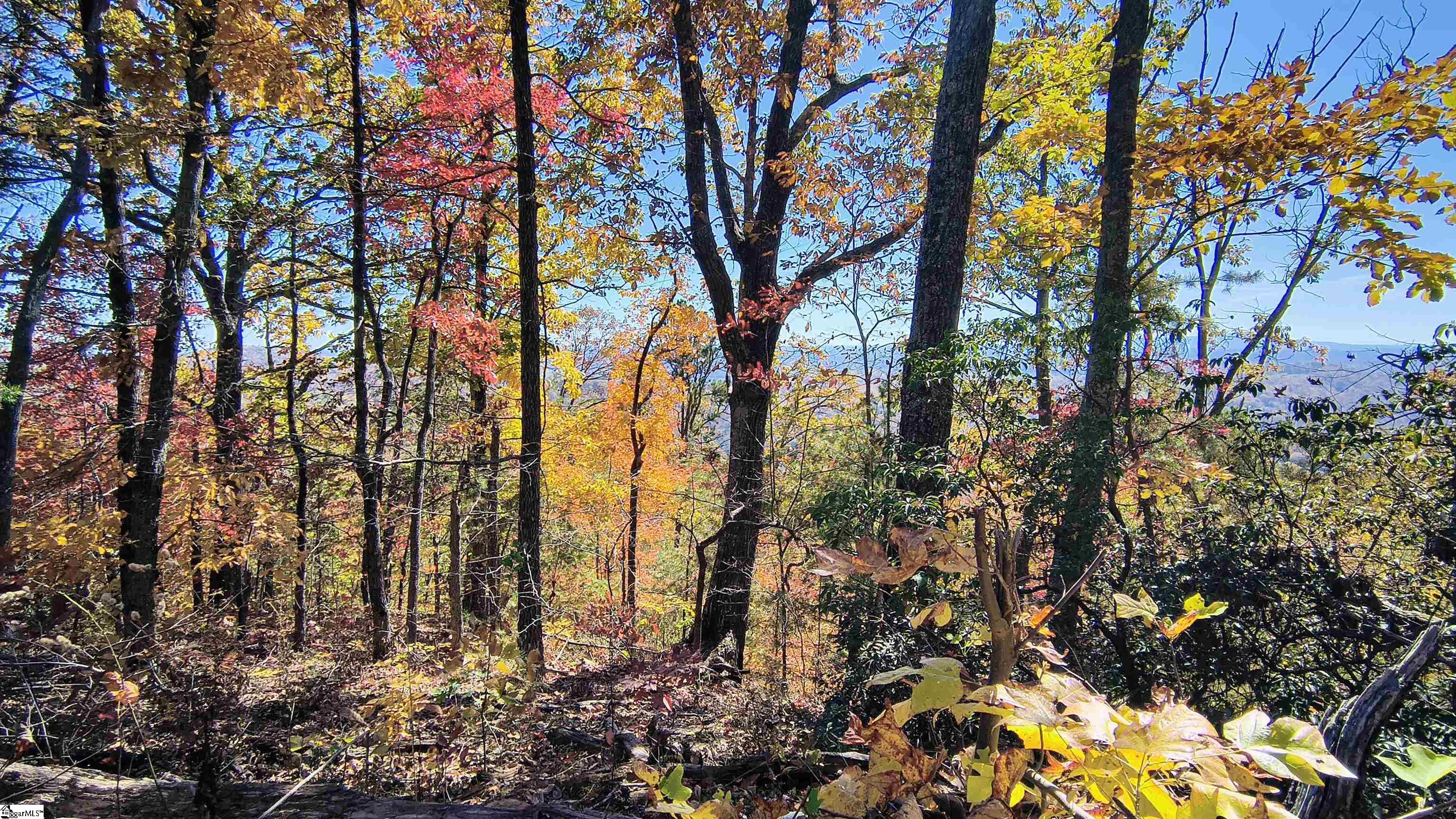 146 Glassy Falls Trail Travelers Rest, SC 29690