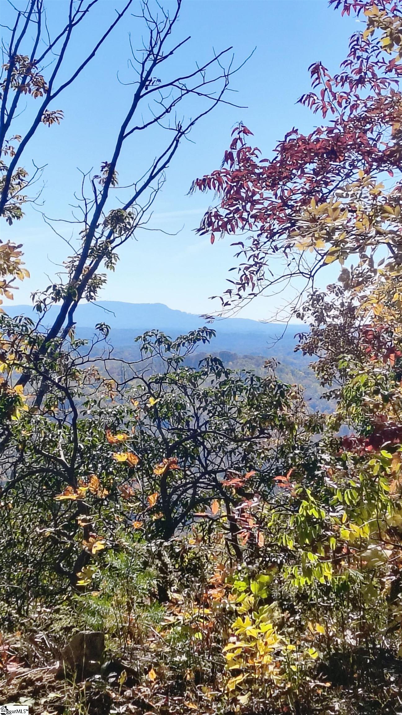 146 Glassy Falls Trail Travelers Rest, SC 29690