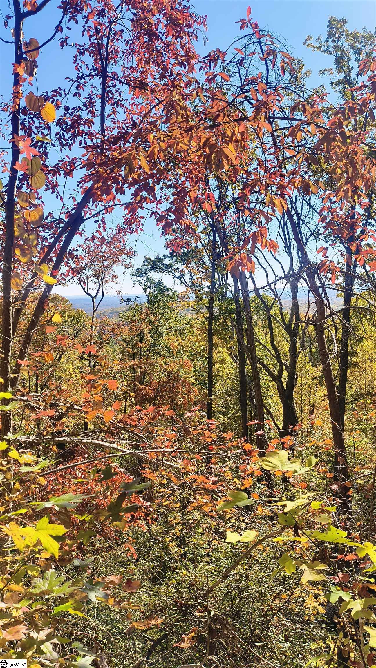 146 Glassy Falls Trail Travelers Rest, SC 29690