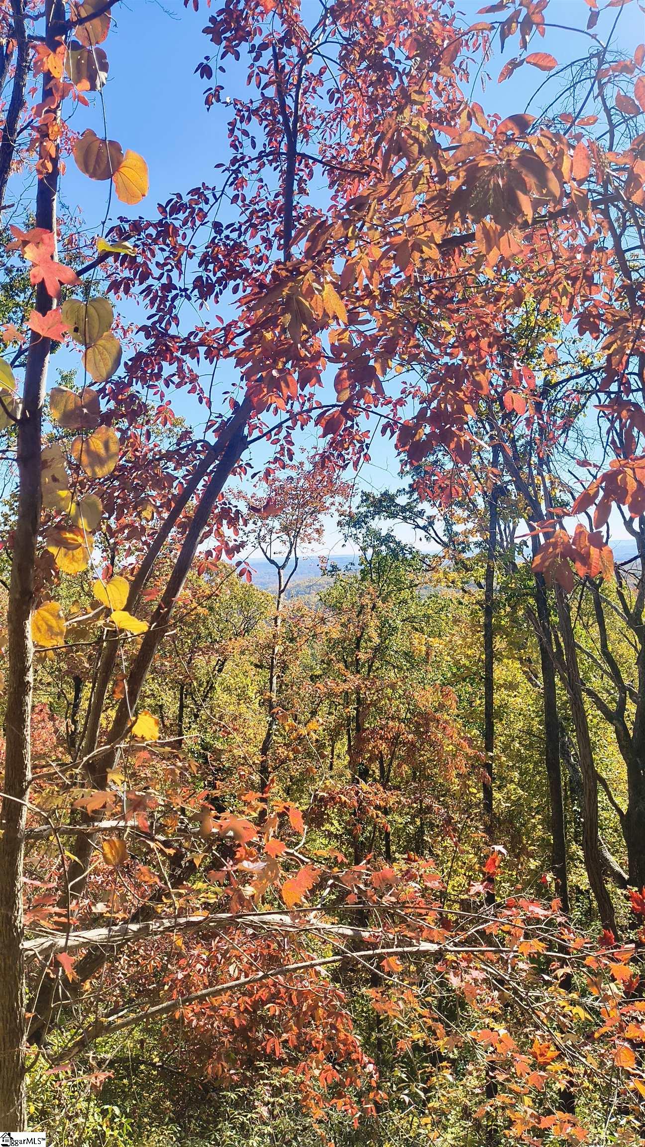 146 Glassy Falls Trail Travelers Rest, SC 29690