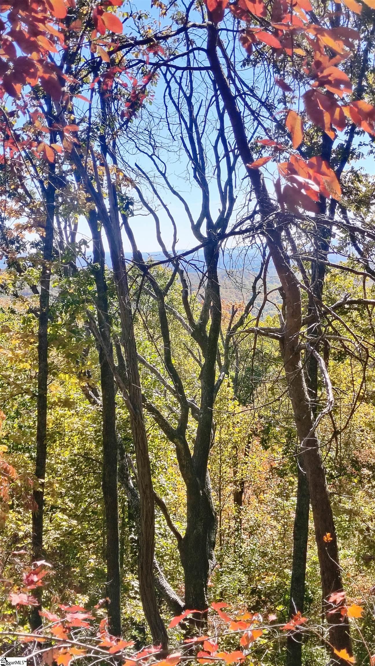 146 Glassy Falls Trail Travelers Rest, SC 29690