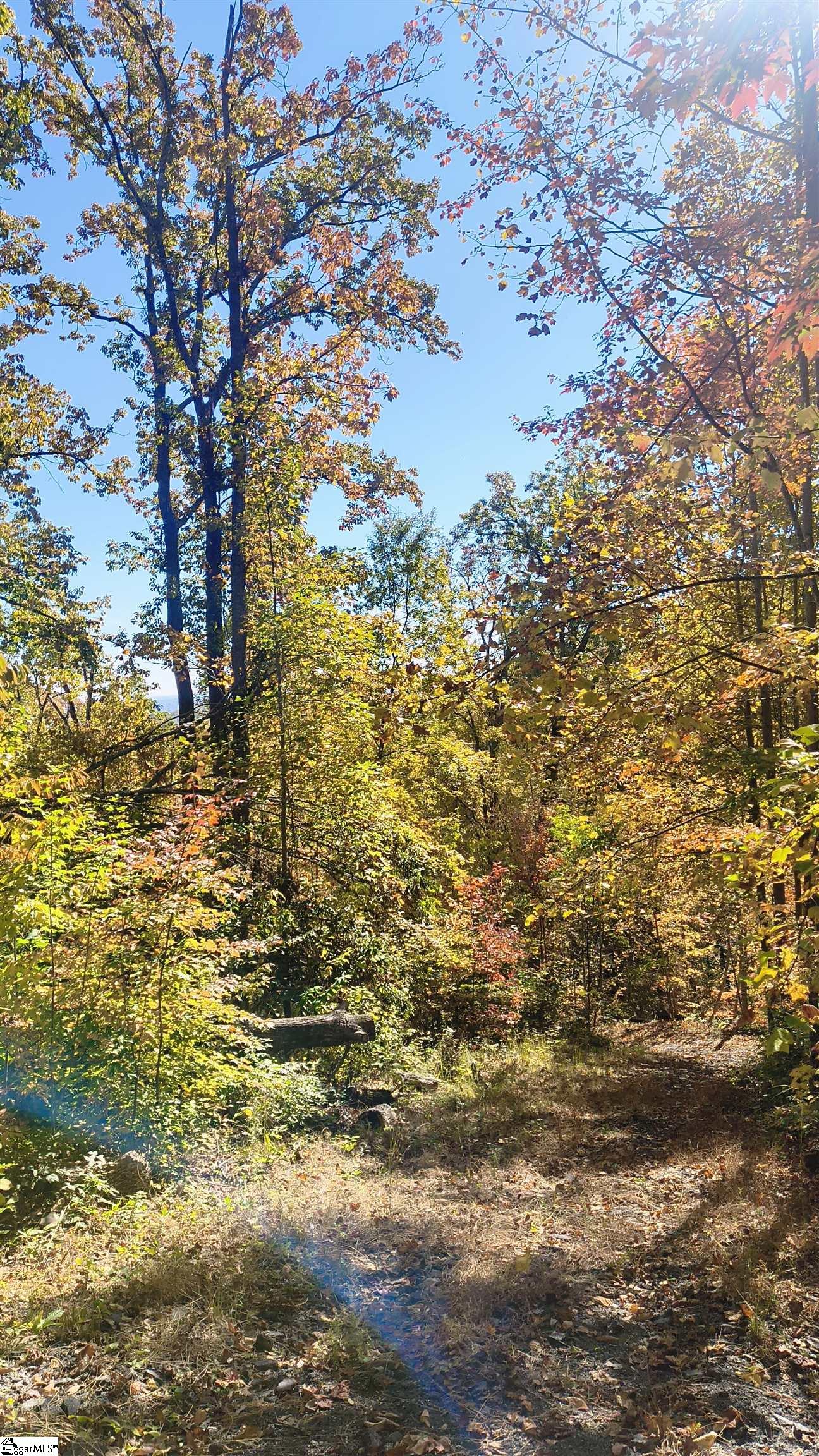 146 Glassy Falls Trail Travelers Rest, SC 29690