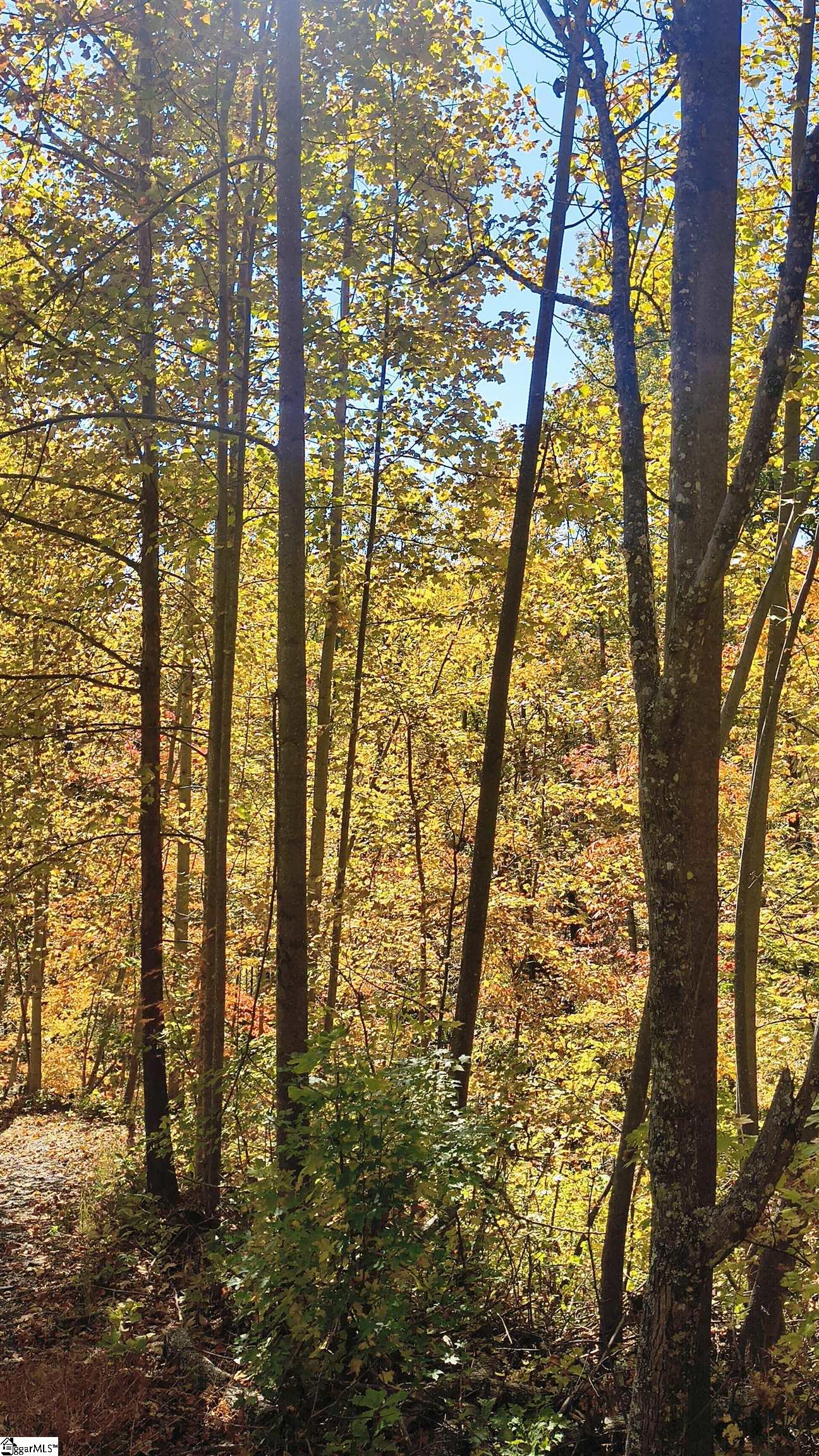 146 Glassy Falls Trail Travelers Rest, SC 29690