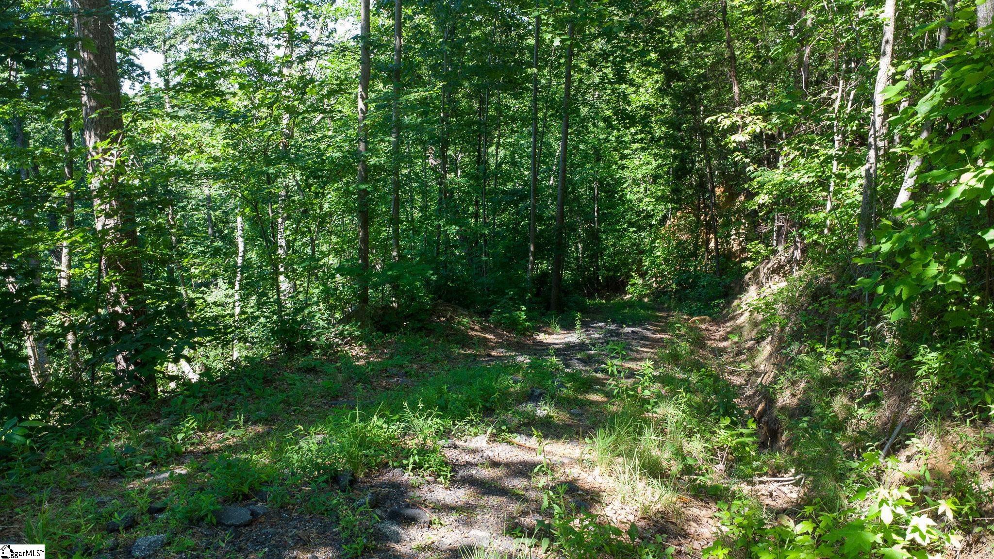 146 Glassy Falls Trail Travelers Rest, SC 29690