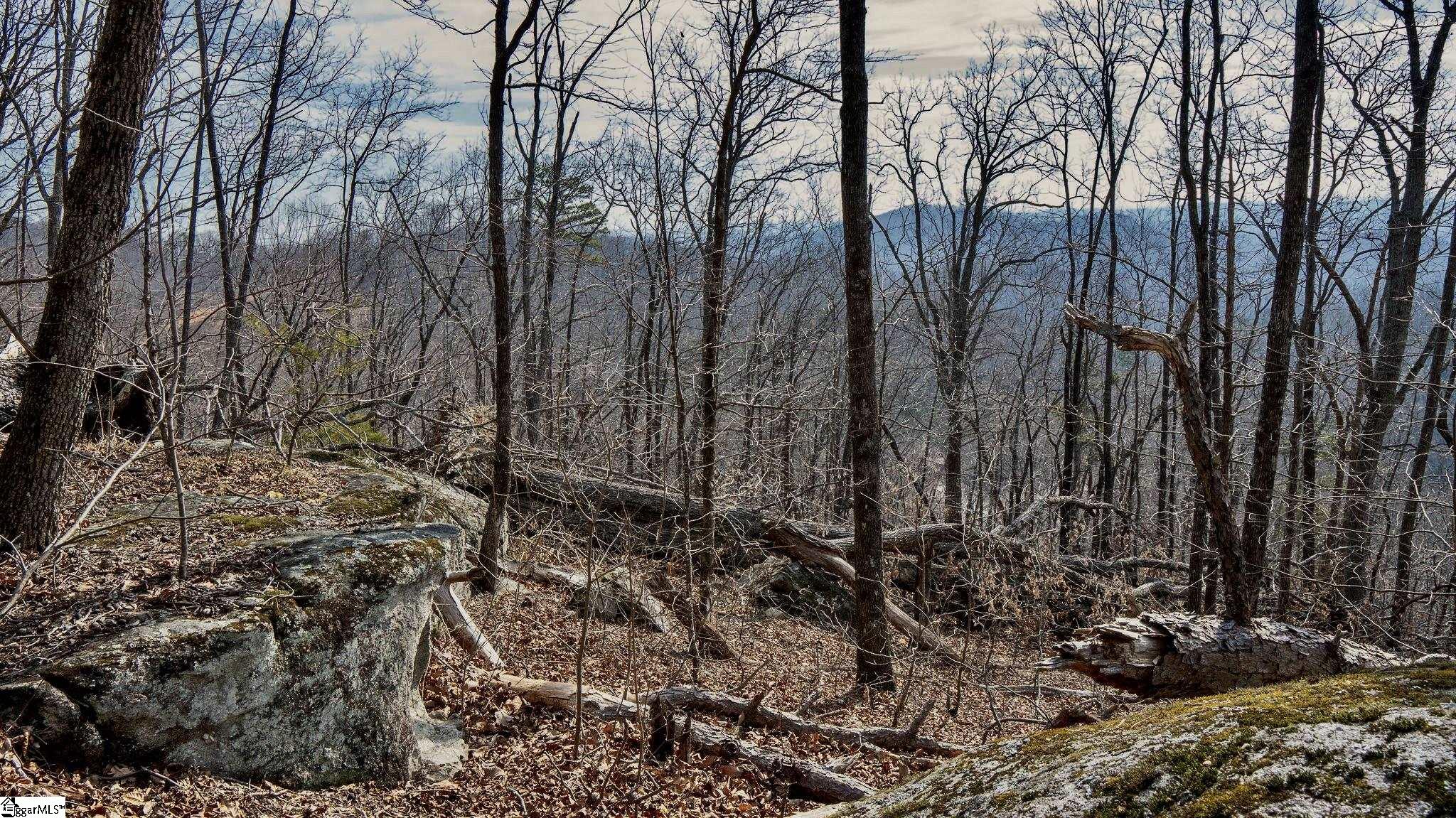 146 Glassy Falls Trail Travelers Rest, SC 29690