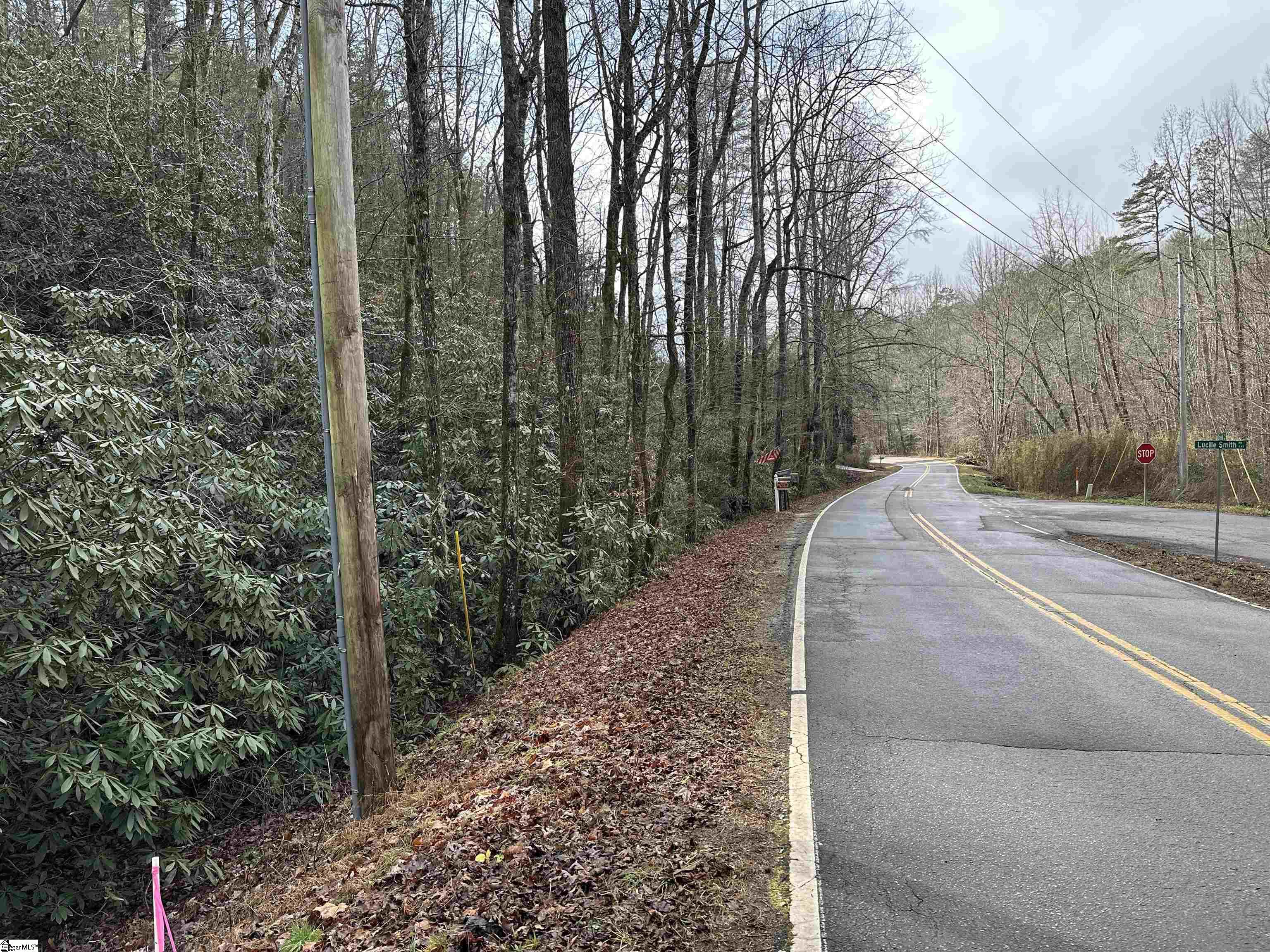 0000 Gap Creek Road UNIT Lot 2 Marietta, SC 29661