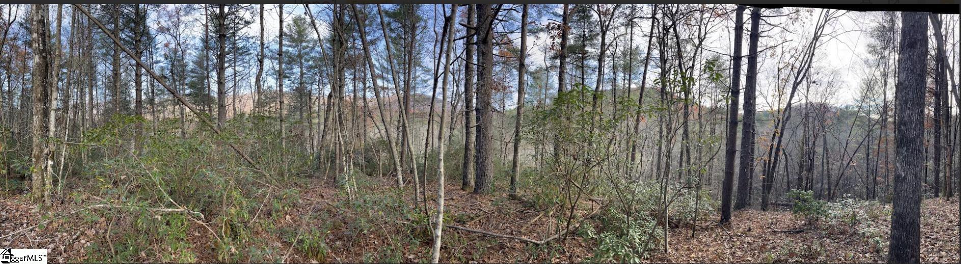 0000 Gap Creek Road UNIT Lot 2 Marietta, SC 29661