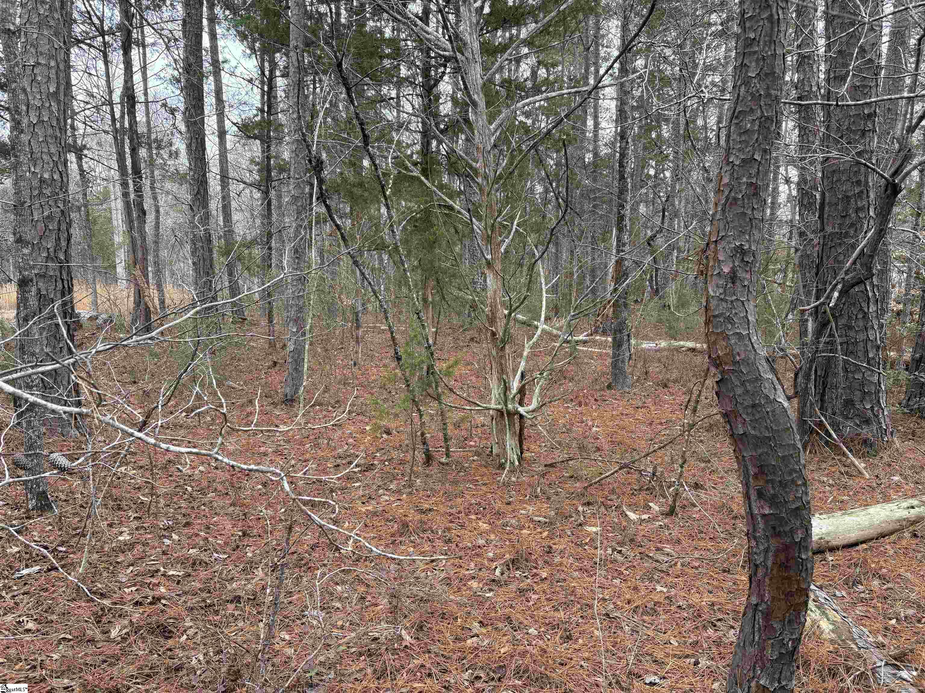 Lot 133 River Oaks Drive Iva, SC 29628