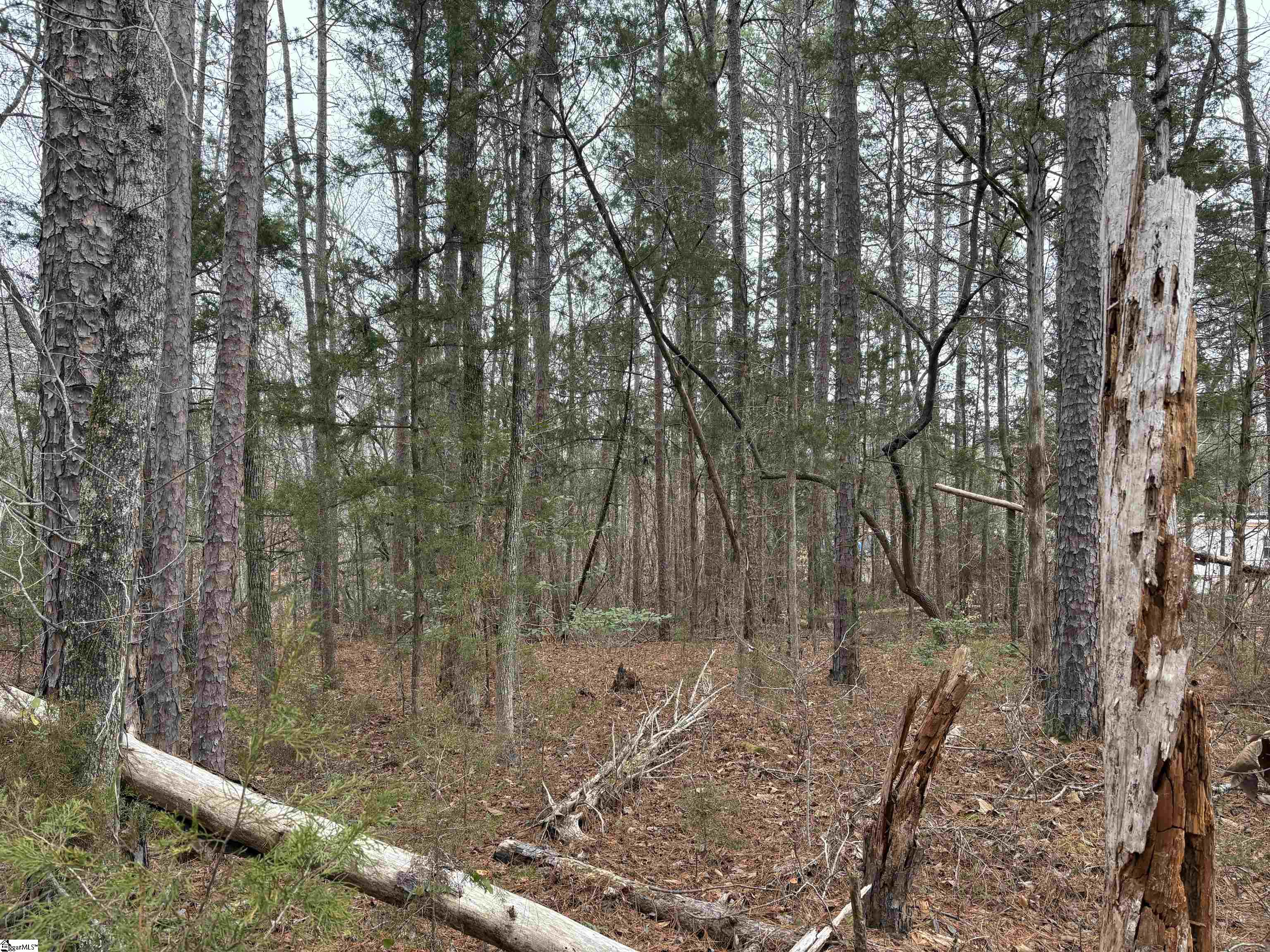 Lot 133 River Oaks Drive Iva, SC 29628