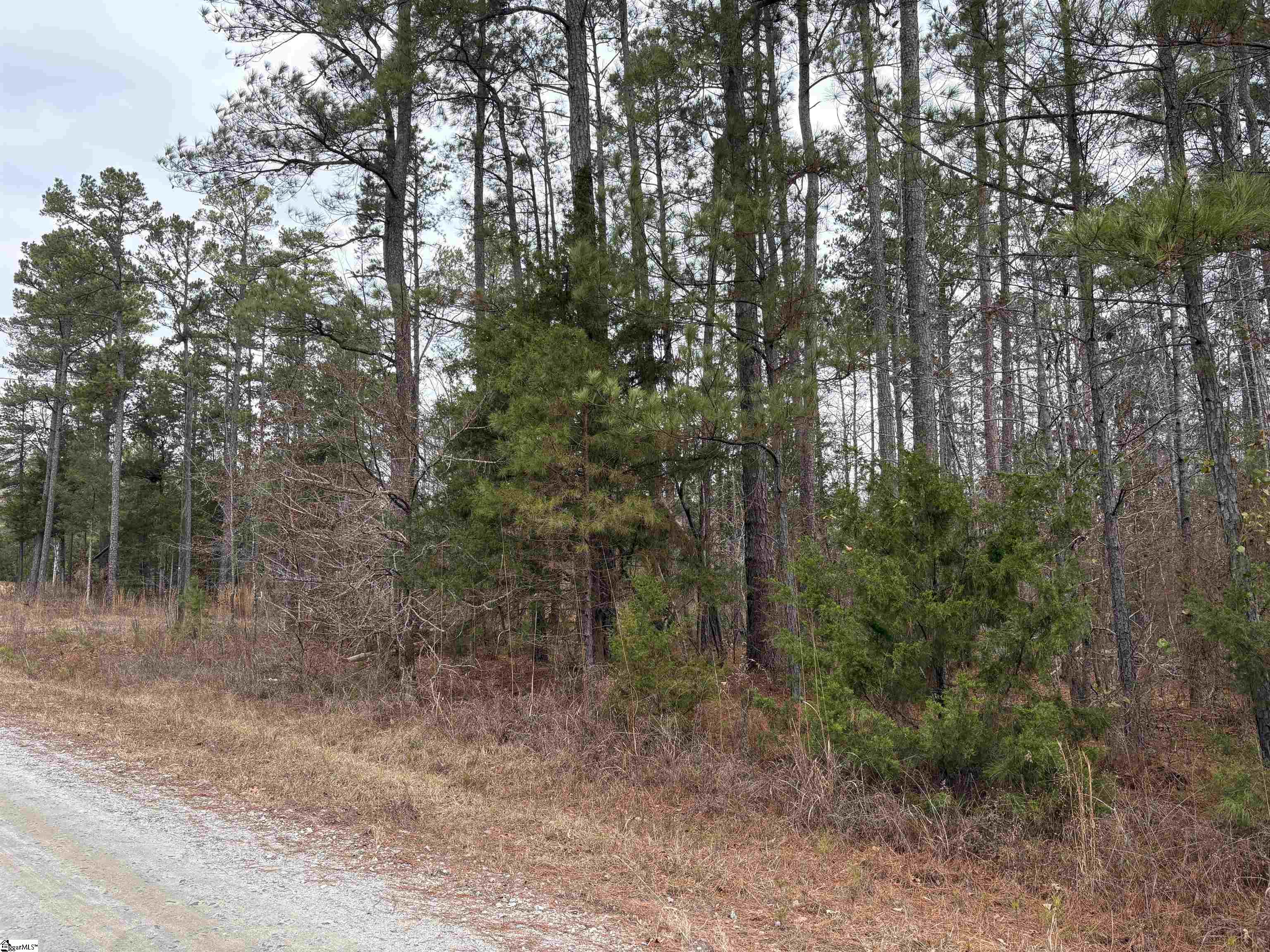 Lot 133 River Oaks Drive Iva, SC 29628