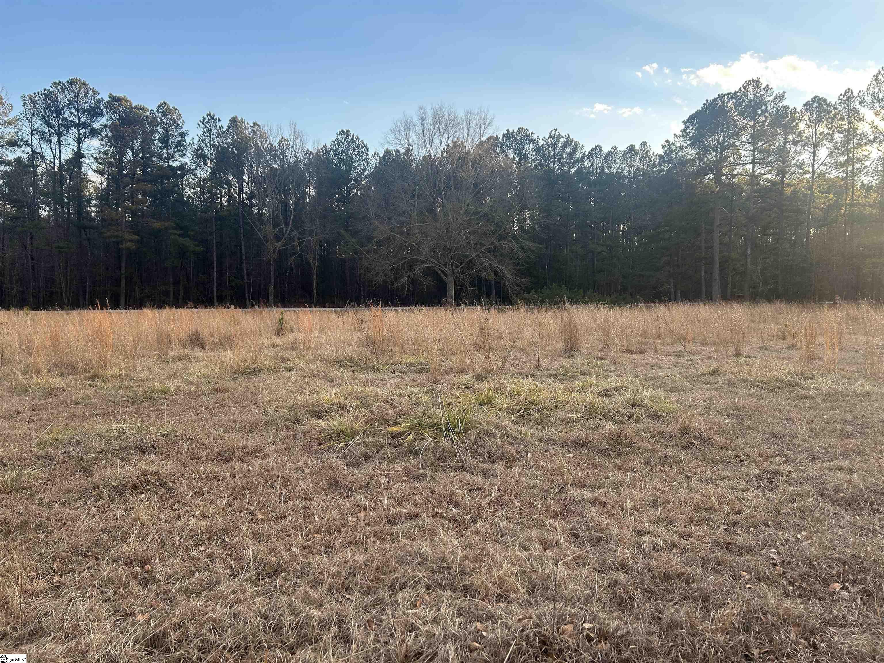 25825 E 72 Highway, Clinton SC 29325,Clinton,Laurens,Land